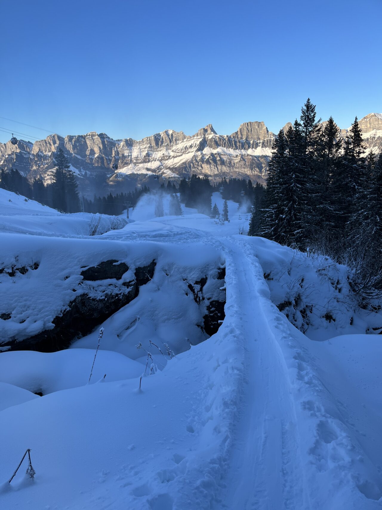 schneeschuhwandern-flumserberg-_IMG_7933