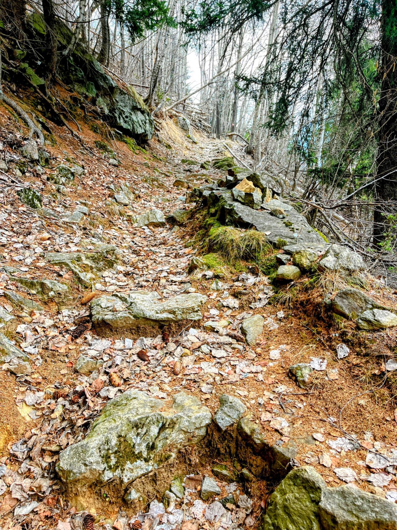 trans-swiss-trail-etappe-25-airolo-osco-