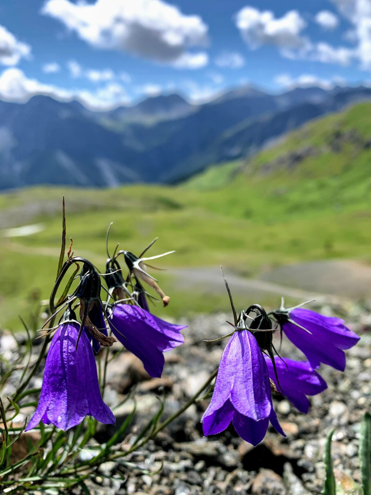 sonnenaufgangswanderung-weisshorn-