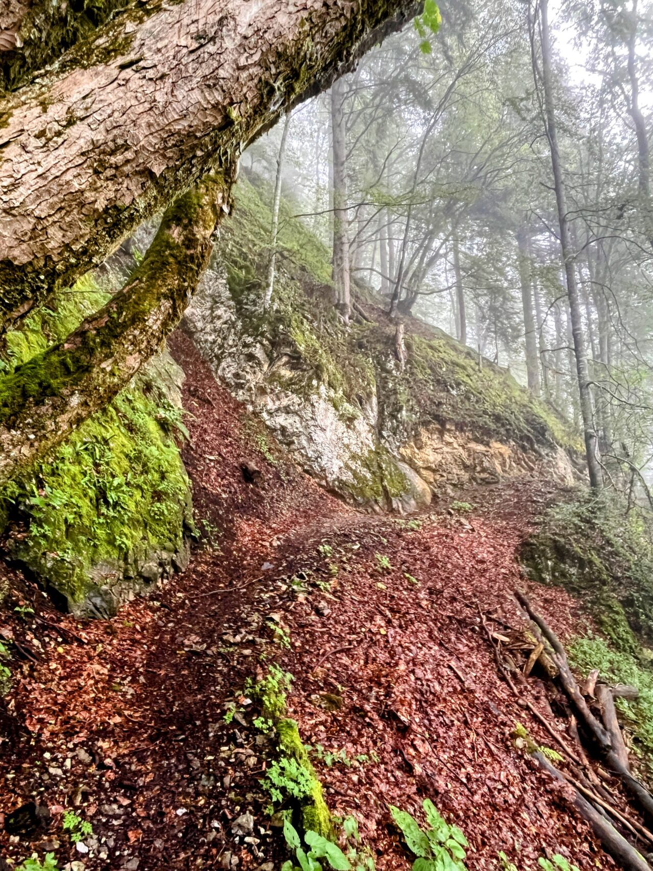 wanderung_glaernischhuette_