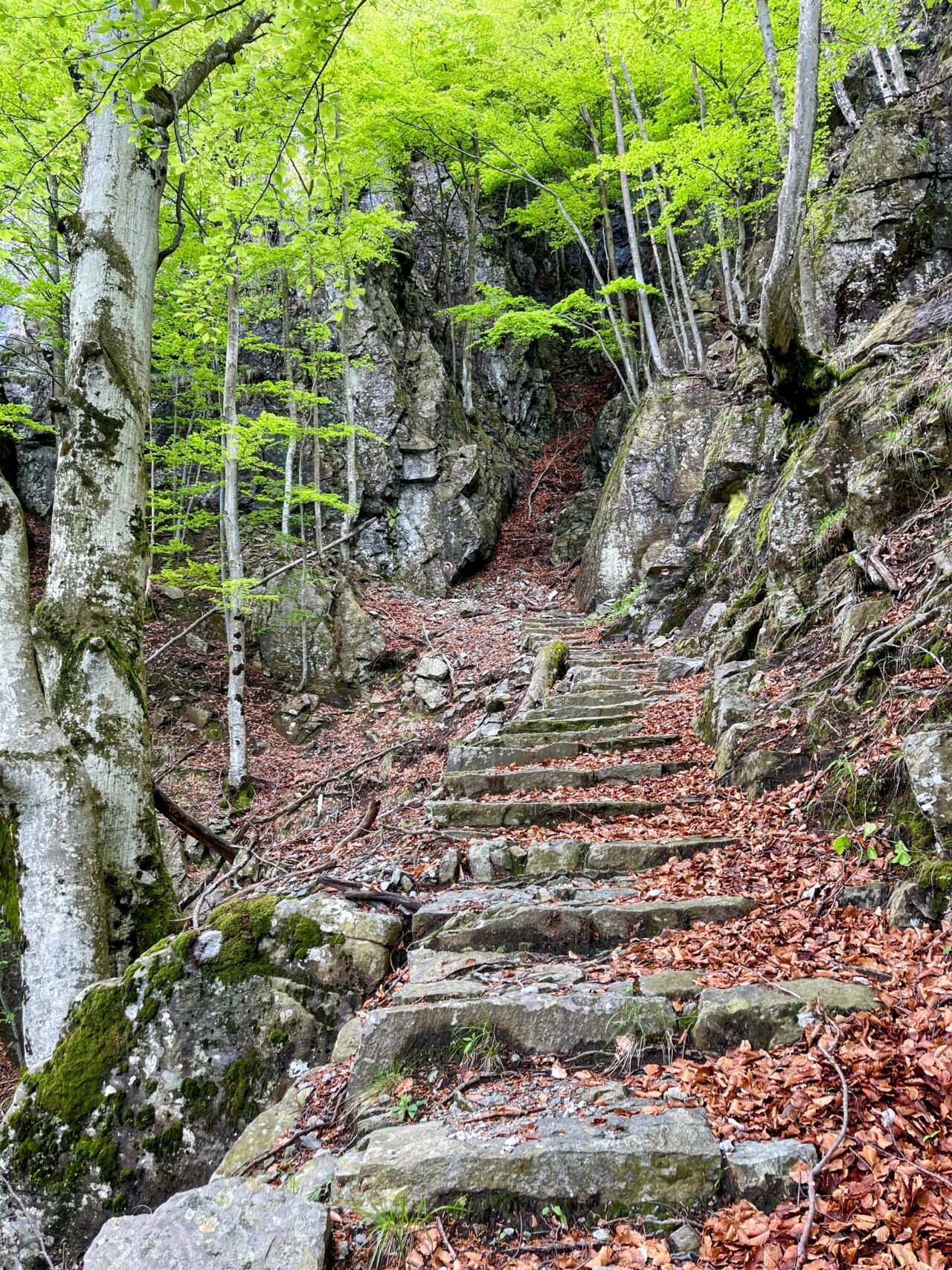 wanderung_someo_capanna_alzasca_