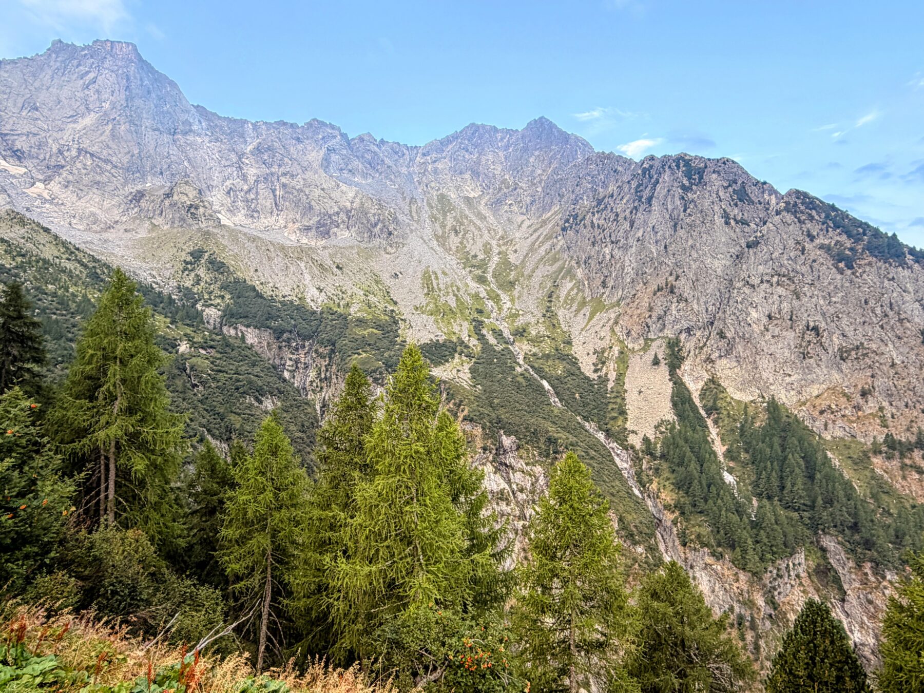 wanderung_sentiero_alpino_bregaglia_sasc_furae_huette_bondo__IMG_0549