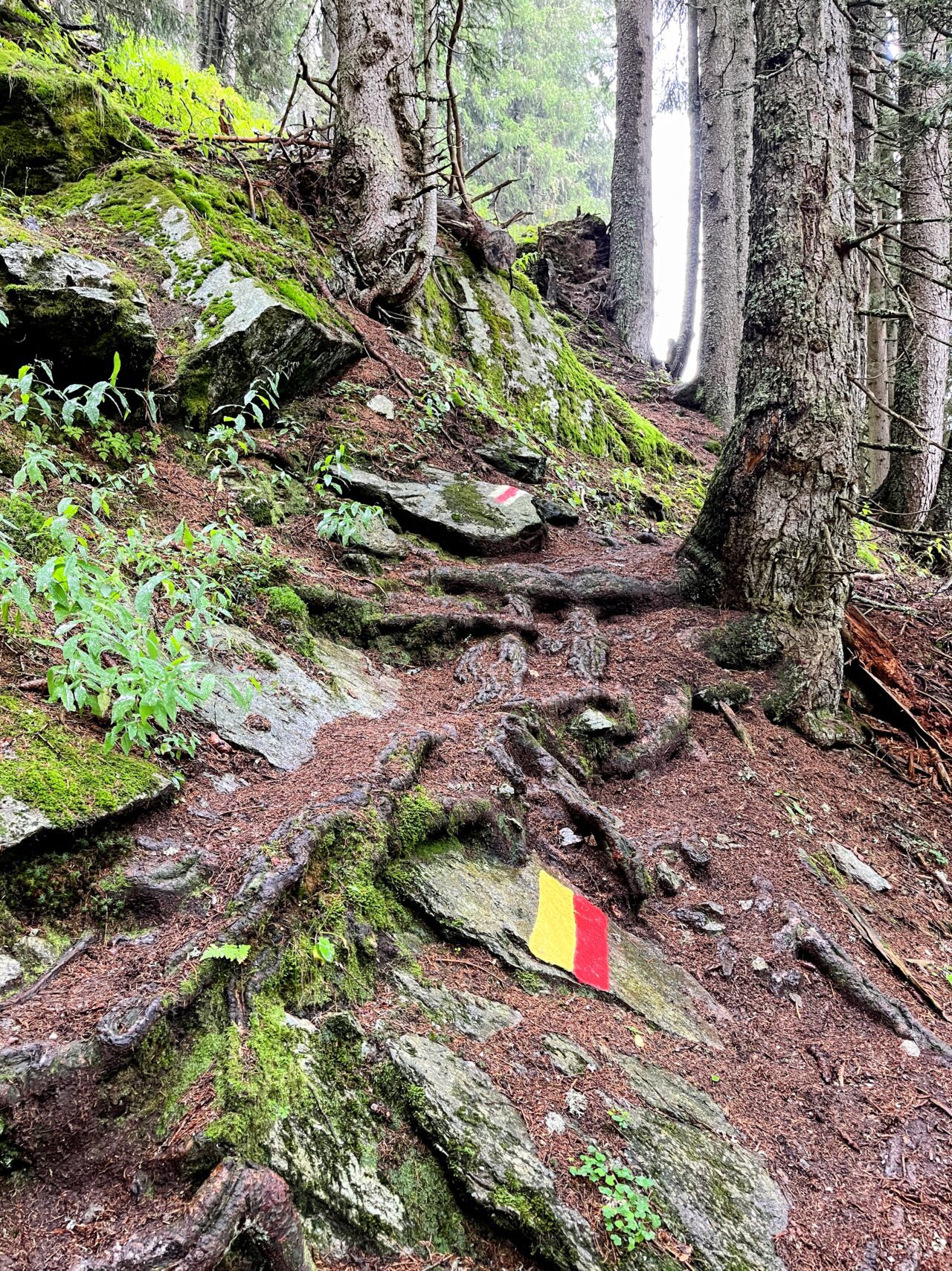 wanderung_klettersteig_punteglias_