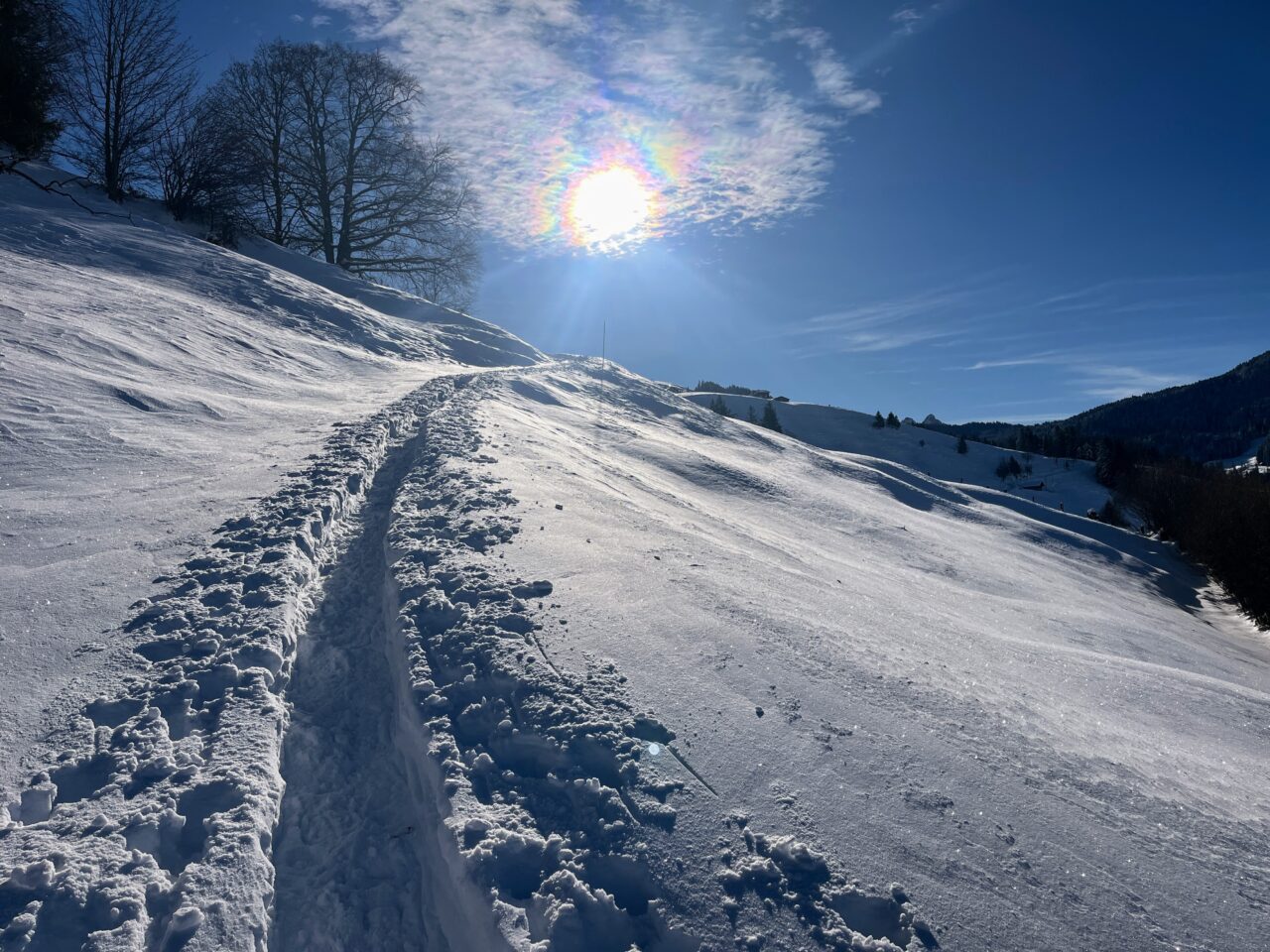 schneeschuhwanderung_rothenthurm-nüsselstock-brunni__IMG_5548