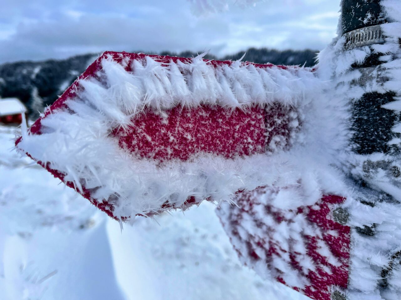 schneeschuhtour_biberegg_hochstuckli_haengebruecke__IMG_2136