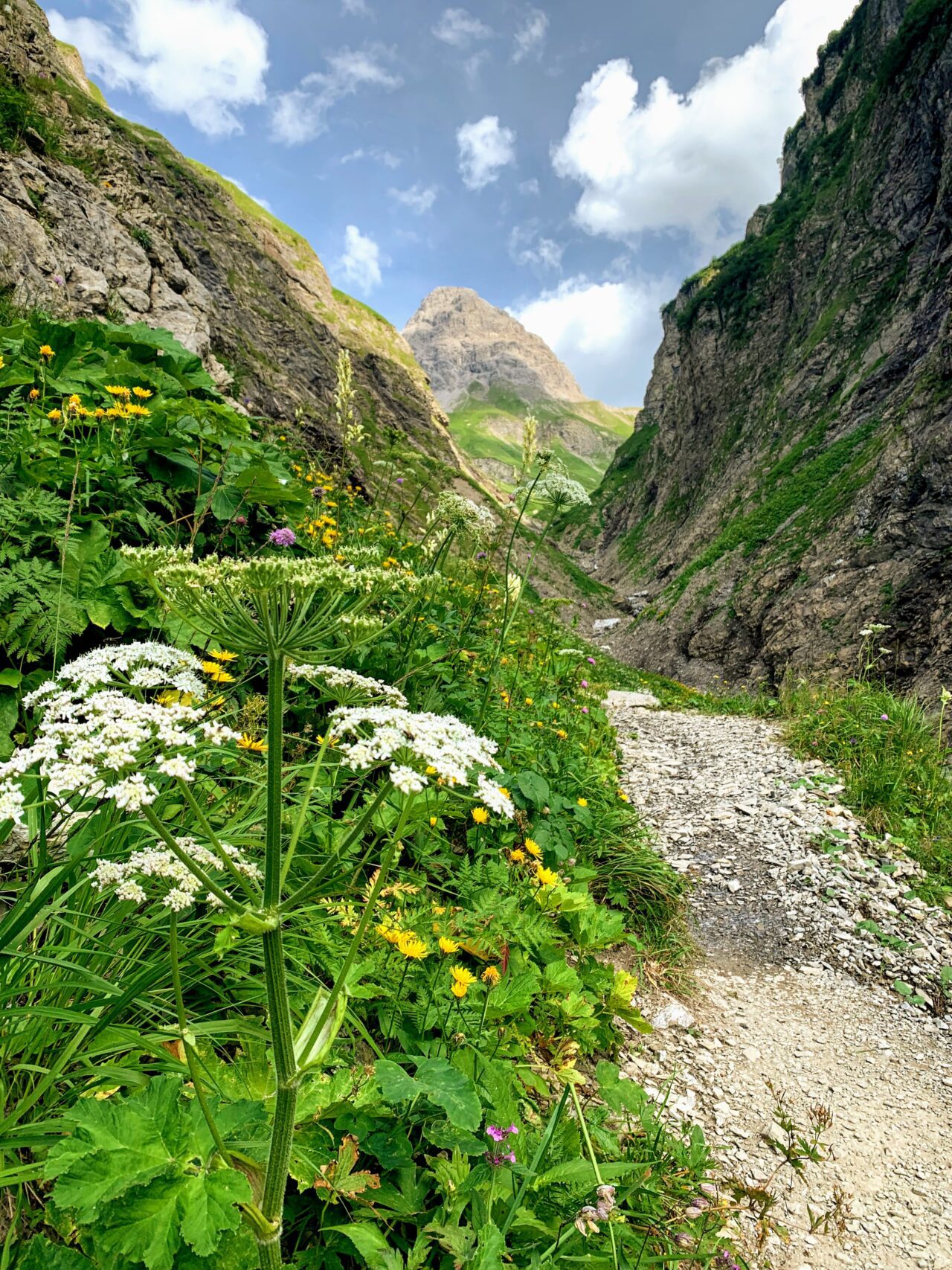 alpenueberquerung_mit_kindern_tag_1_spielmannsau_kemptner_huette_