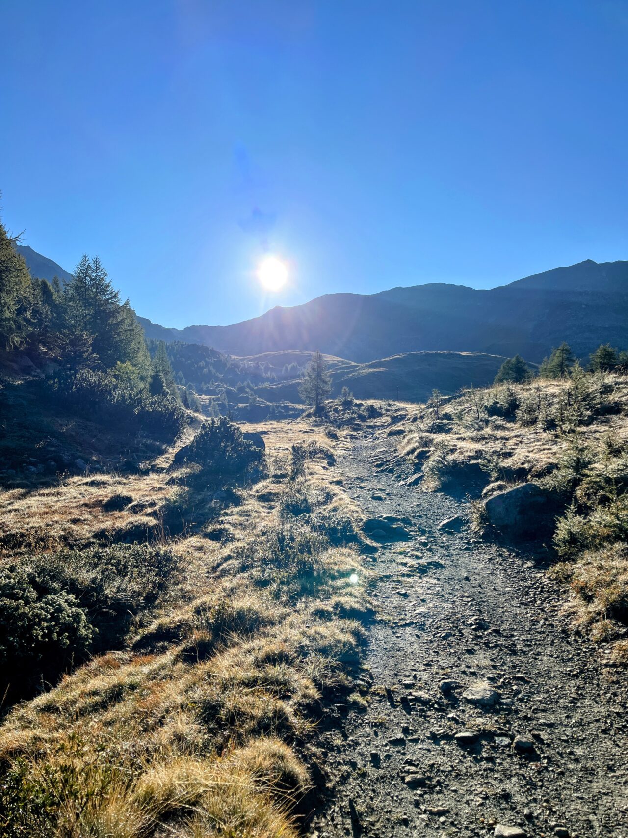 wanderung_sentiero_bernina_sud_