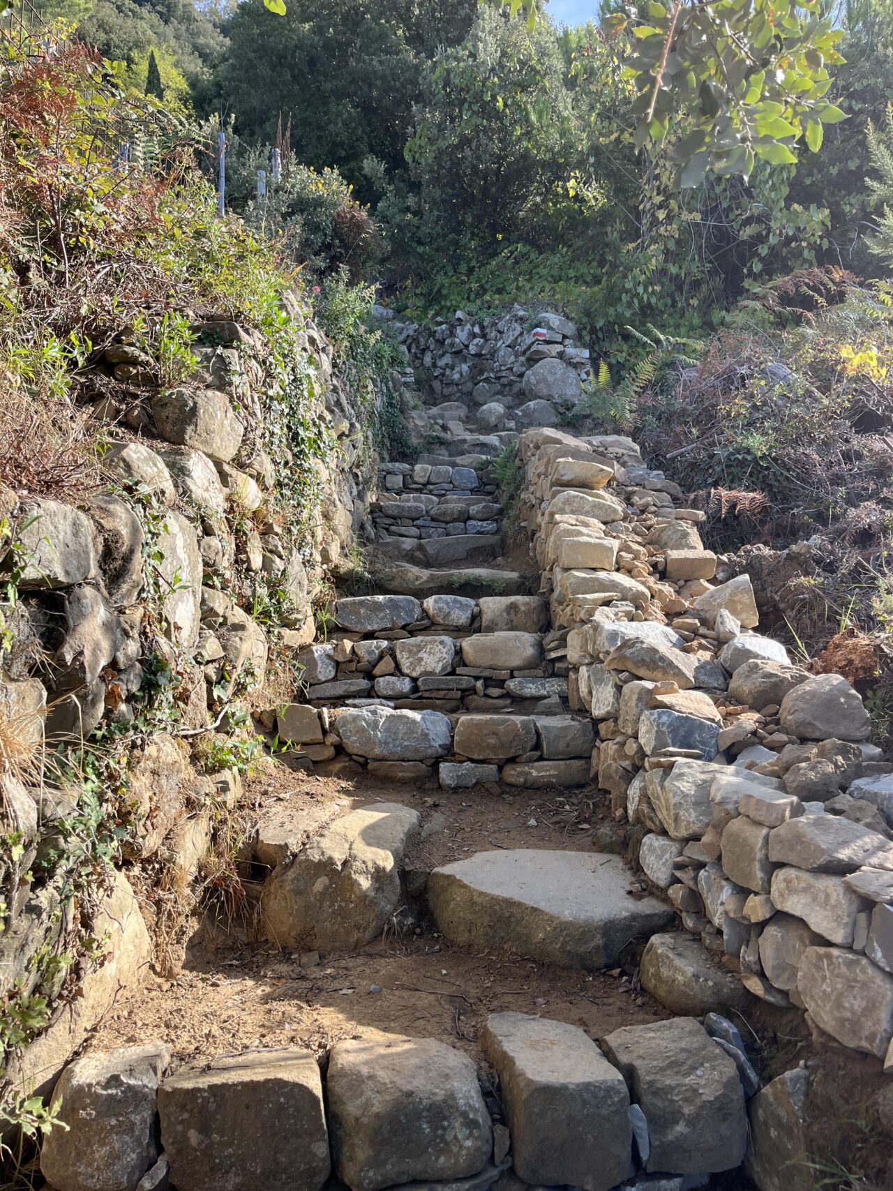 wandern_cinque_terre_