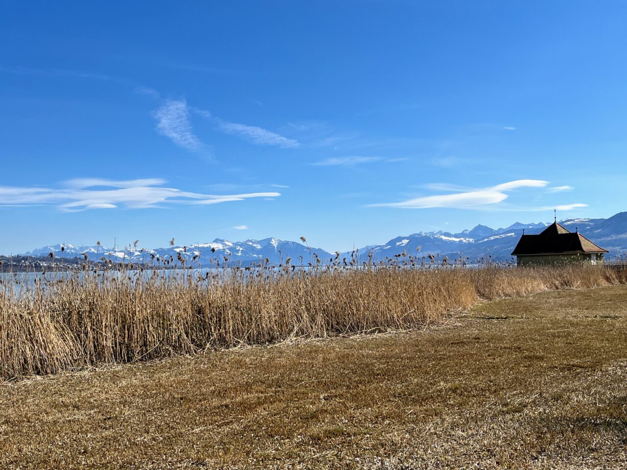 umrundung_zuerichsee_horgen_richterswil_
