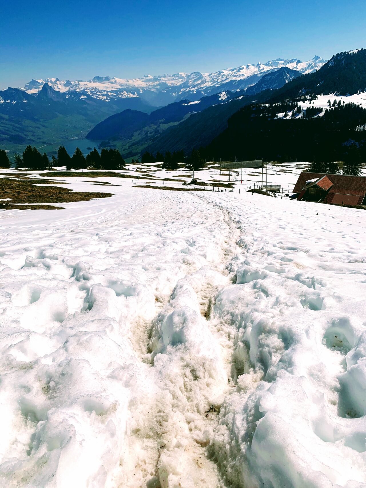 winterwandern_rigi_