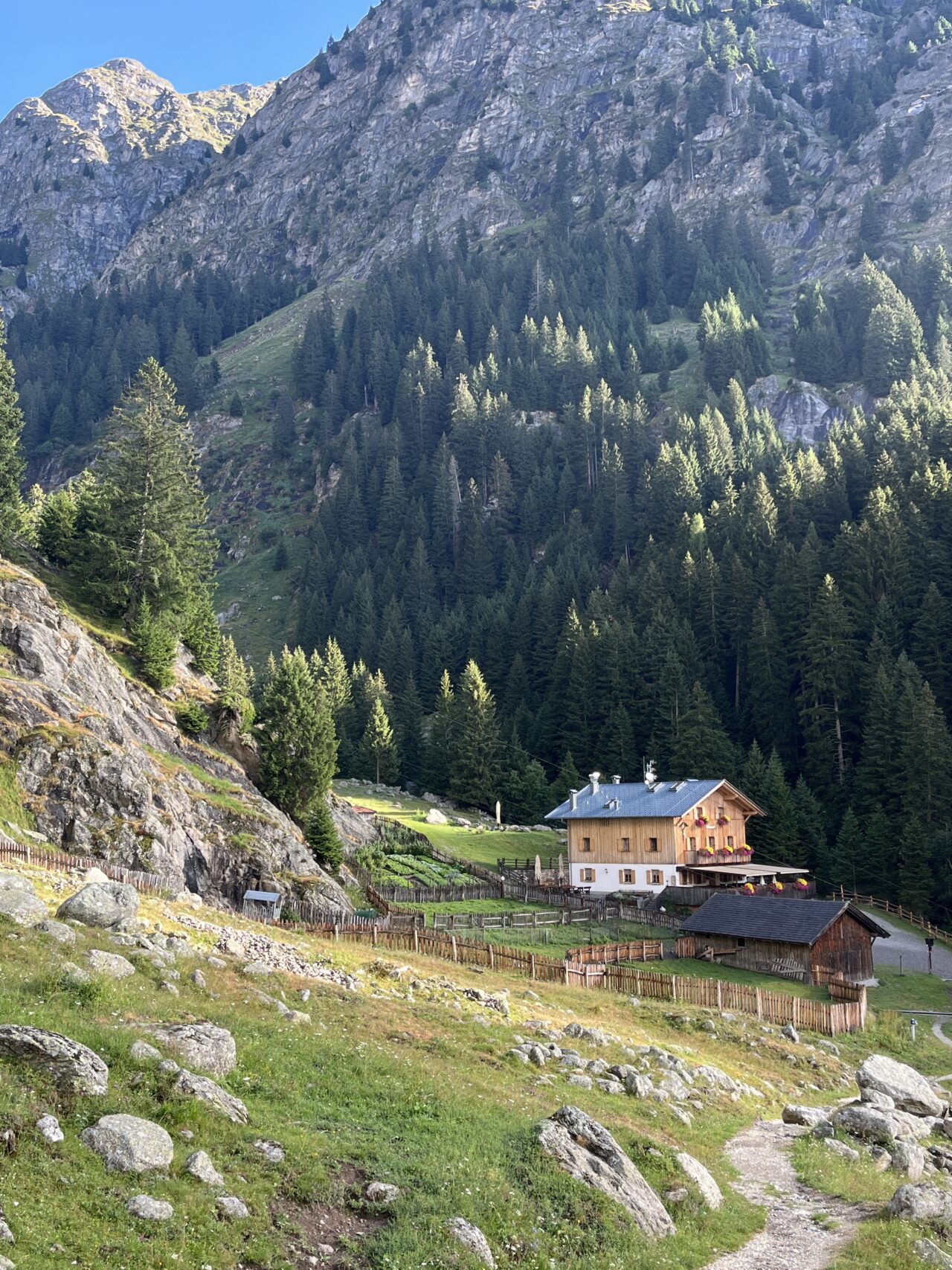wanderung_Meraner_hoehenweg_hochmuth_nasereithuette_montferthof_