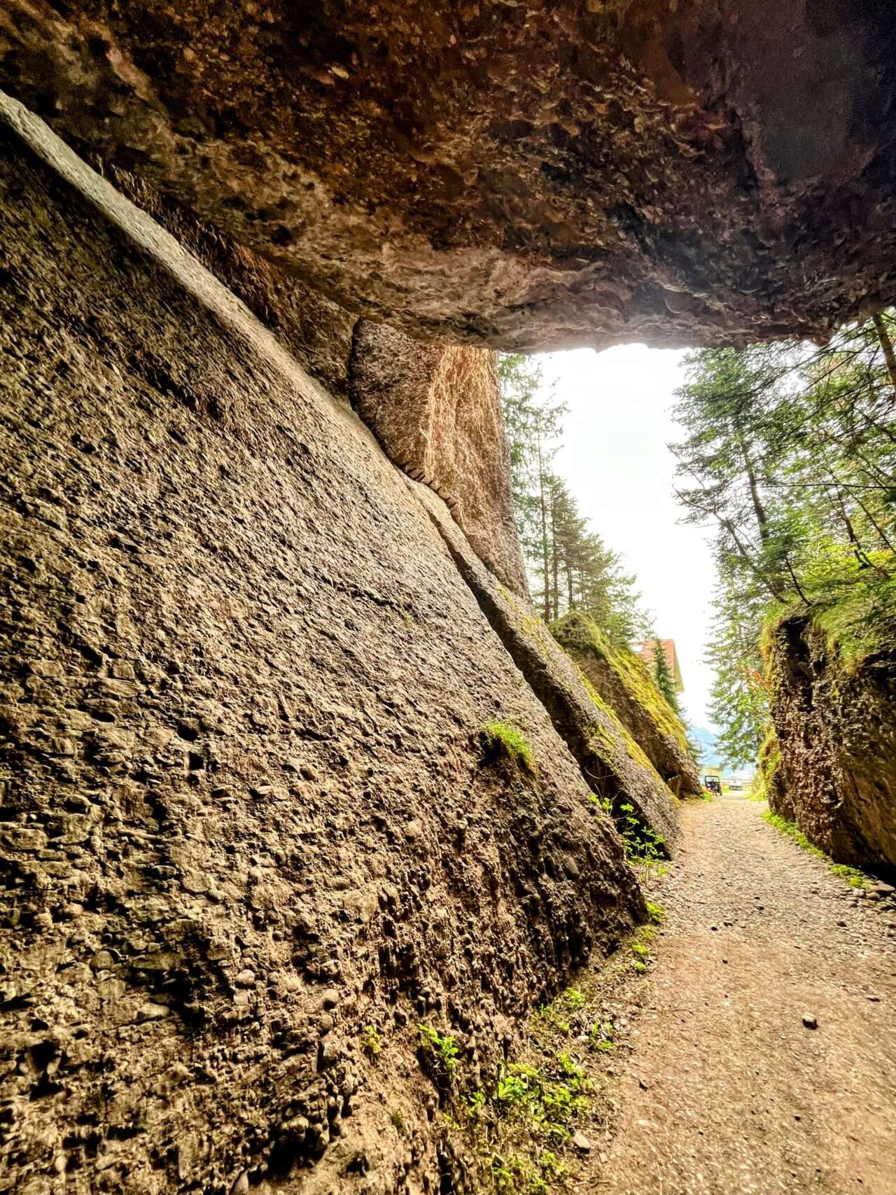 wanderung_weggis_rigi_