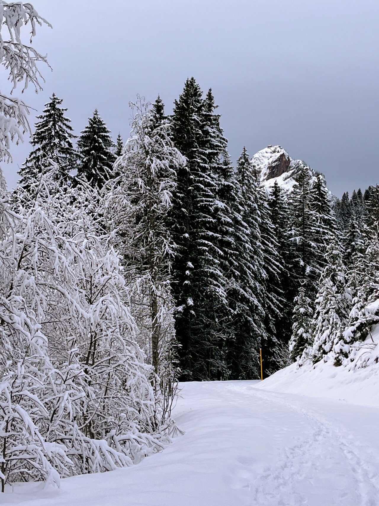 schneeschuhtour_laucherenstoeckli_ibergeregg_brunni__IMG_5817