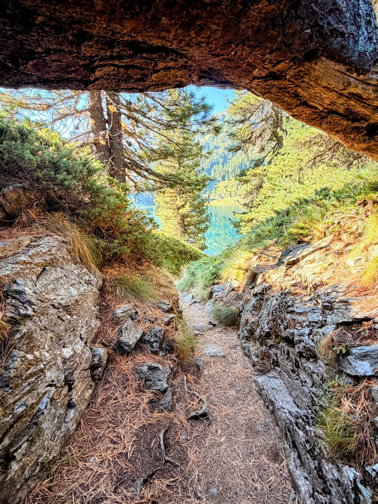 wanderung_sentiero_alpino_bregaglia_maloja_albignahuette__IMG_0104