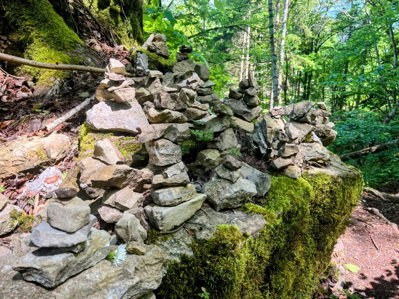 wanderung_schluchtensteig_schwarzwald_