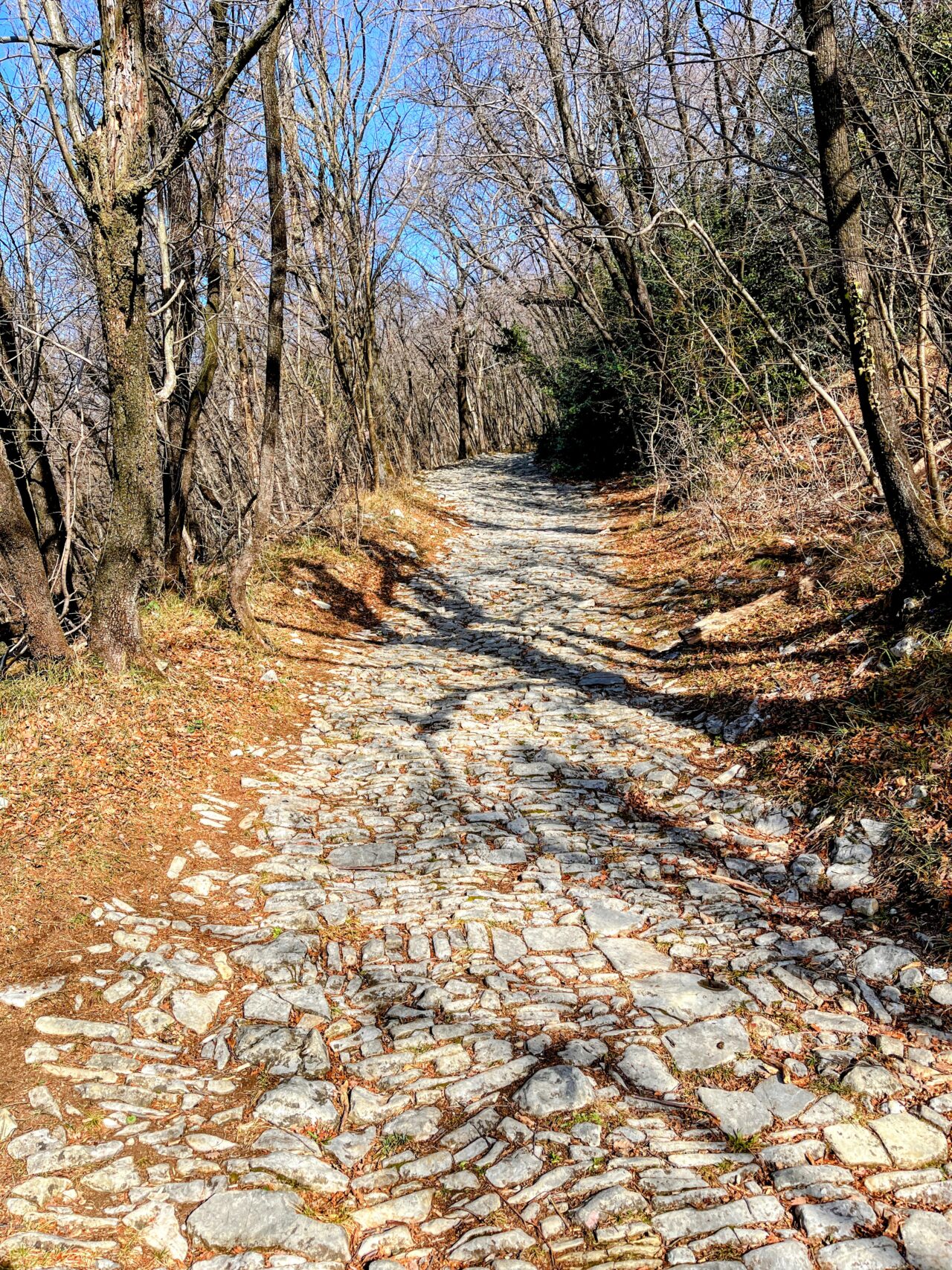 wanderung_transswiss_etappen_29_bis_32_bellinzona_mendrisio_