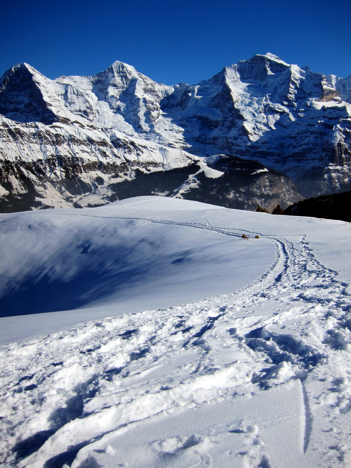 schneeschuhwanderung_lobhoerner_