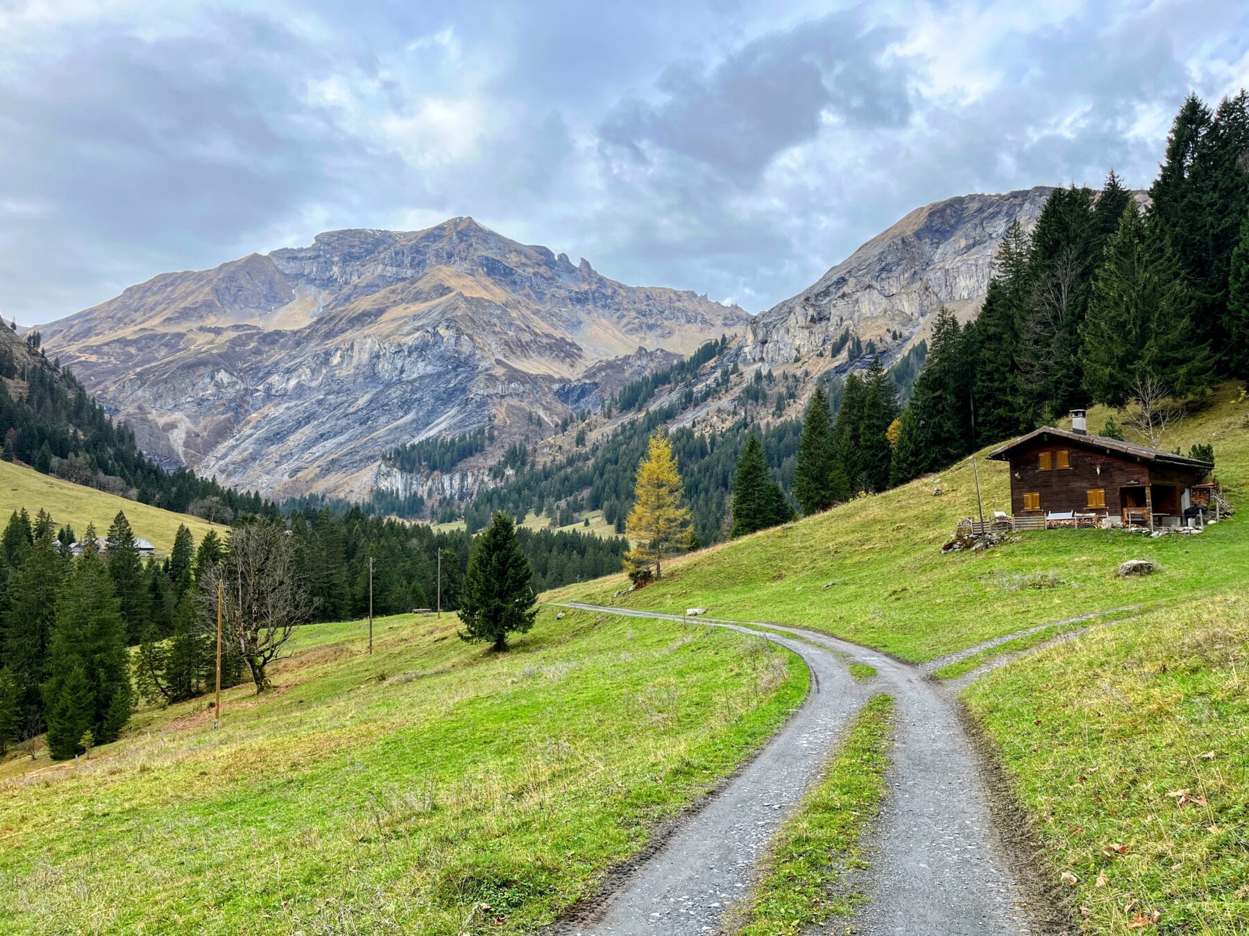 via_alpina_etappe_3_weisstannen_elm_