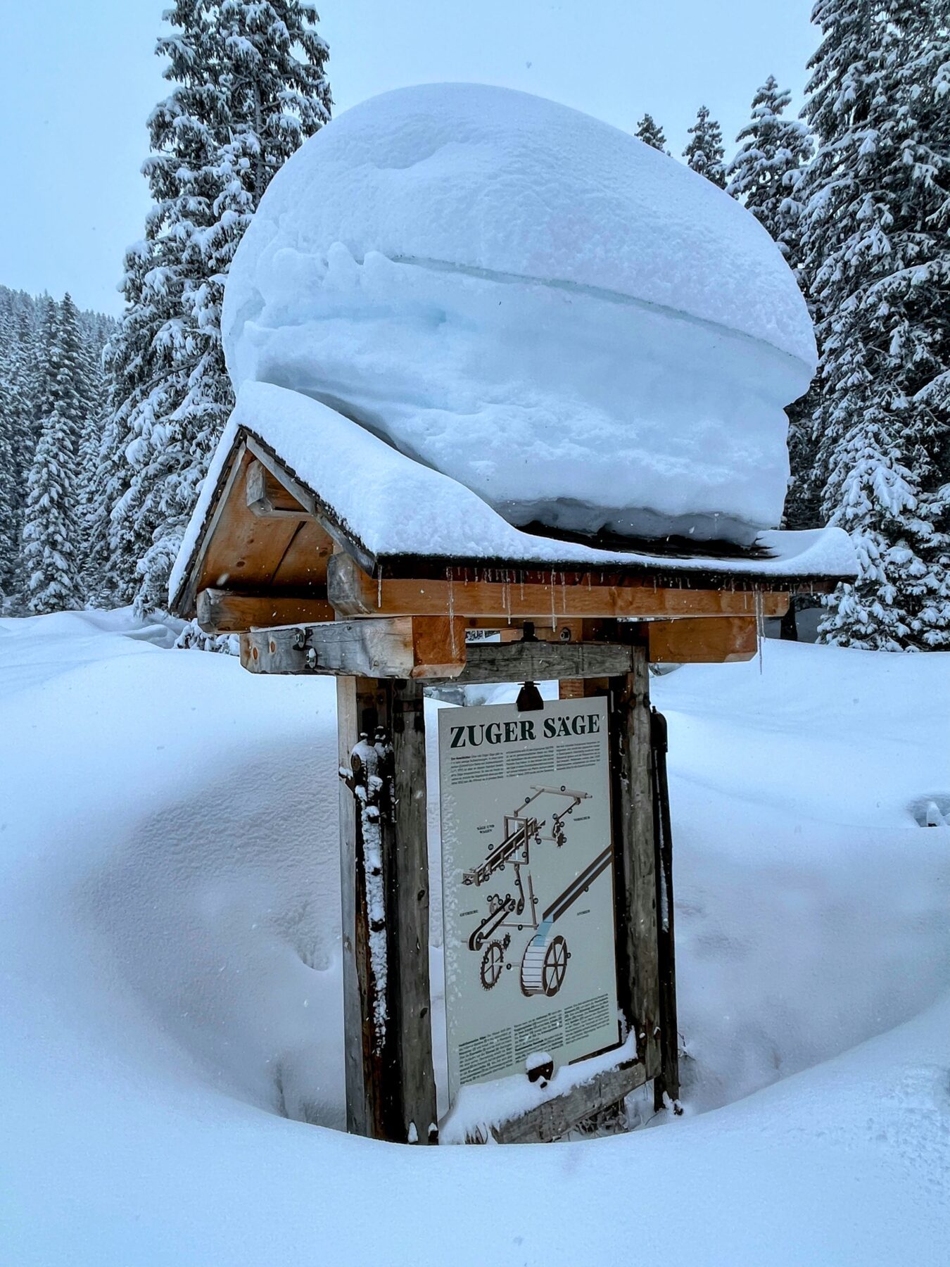 winterwanderung_lech_zug_vorderes_aelpele__IMG_4530