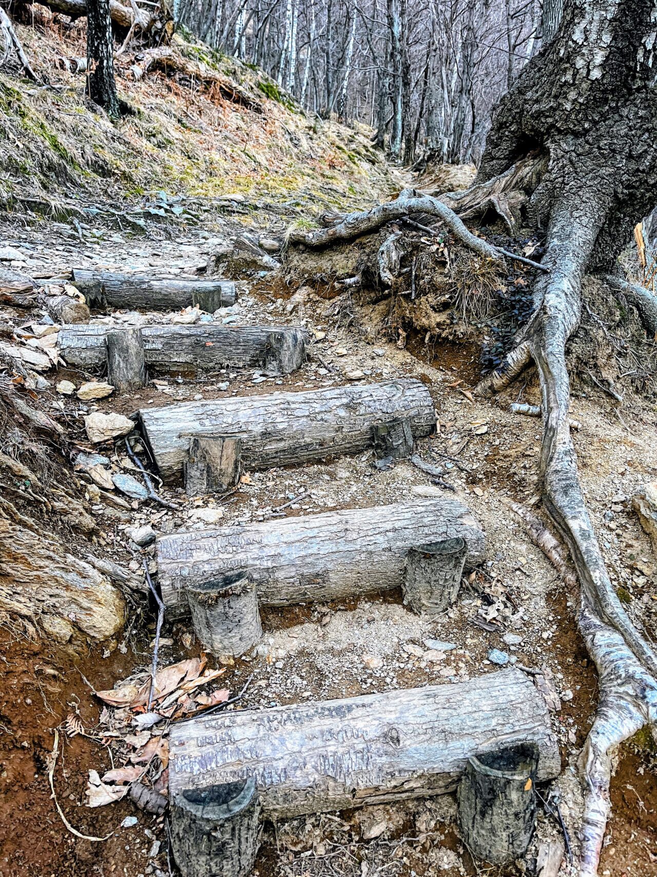 wanderung_transswiss_etappen_29_bis_32_bellinzona_mendrisio_