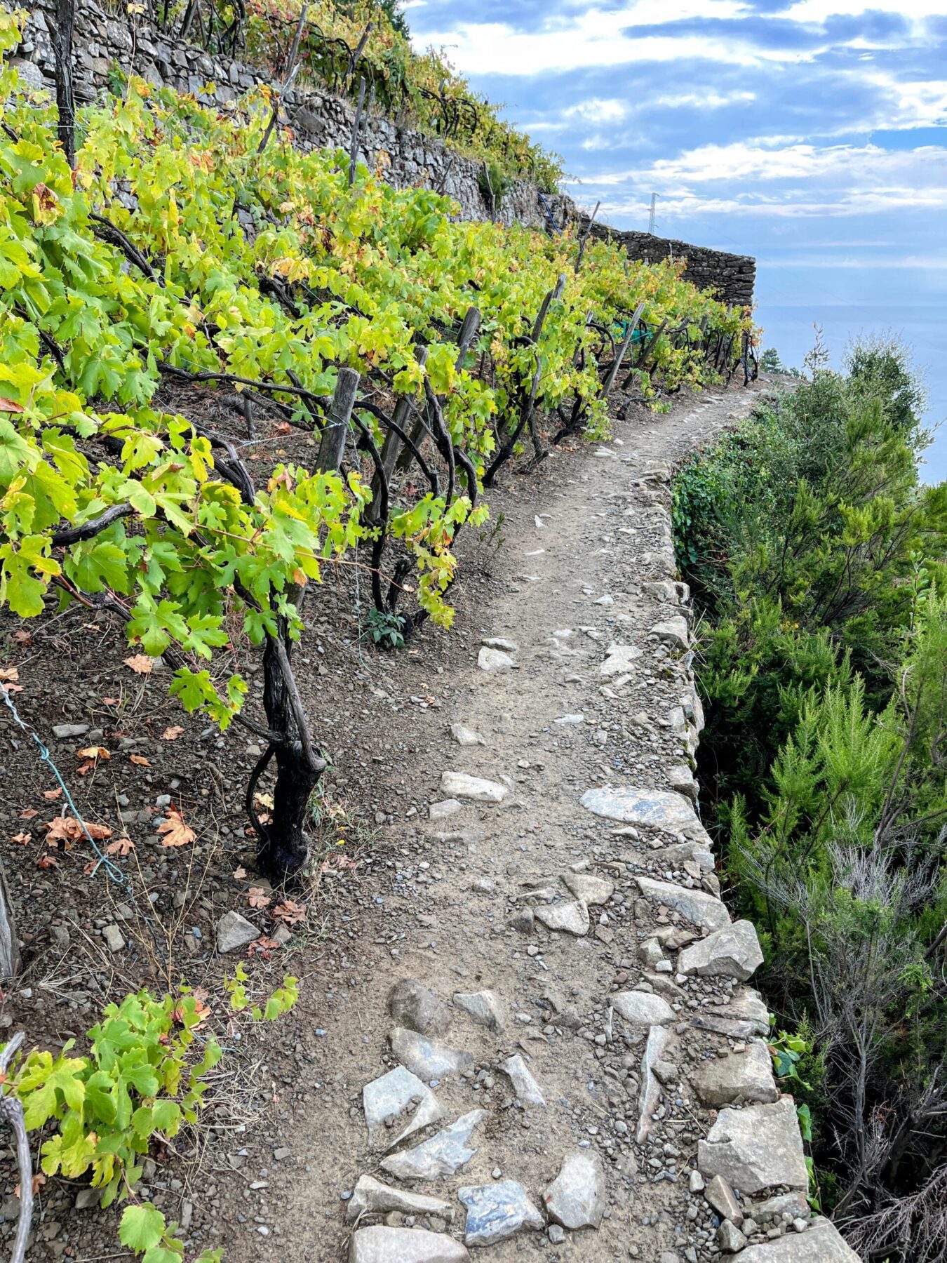 wandern_cinque_terre_