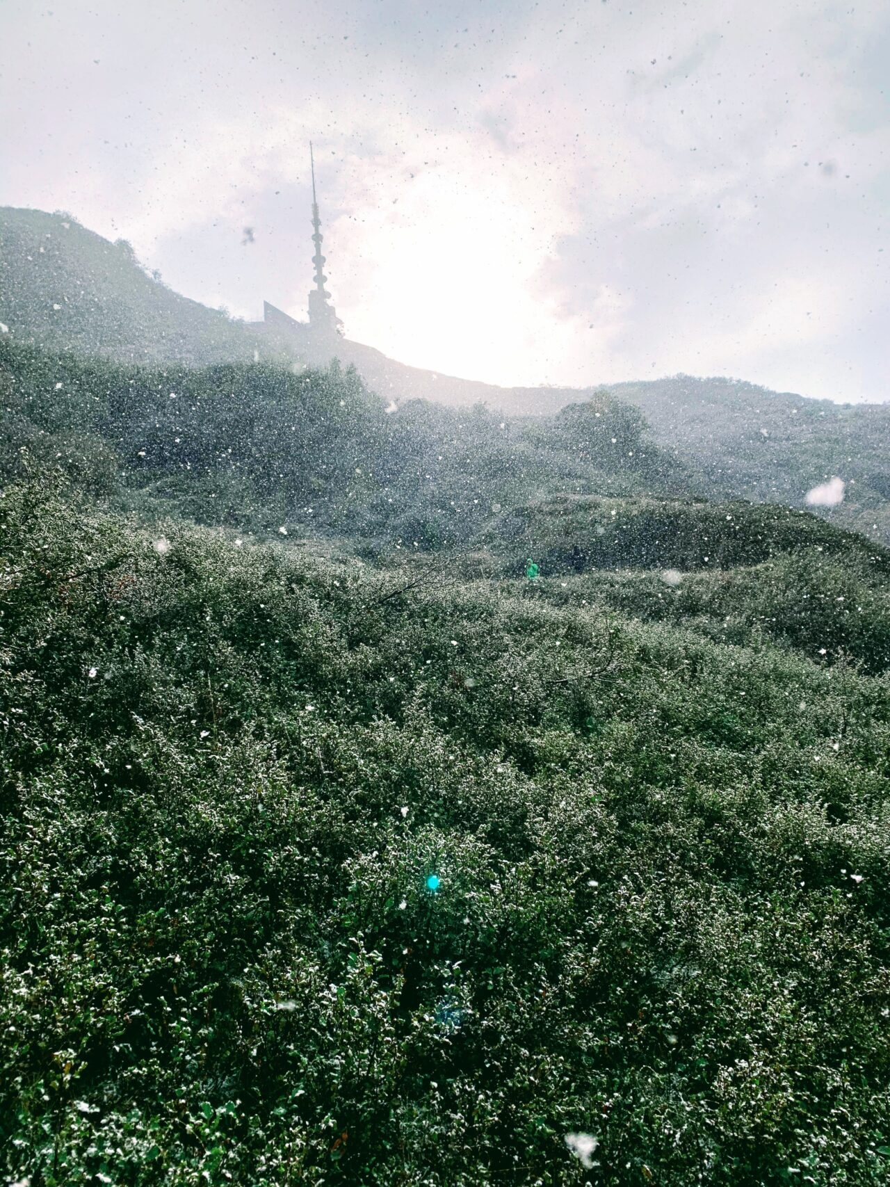 wanderung_monte_lema_monte_tamaro_