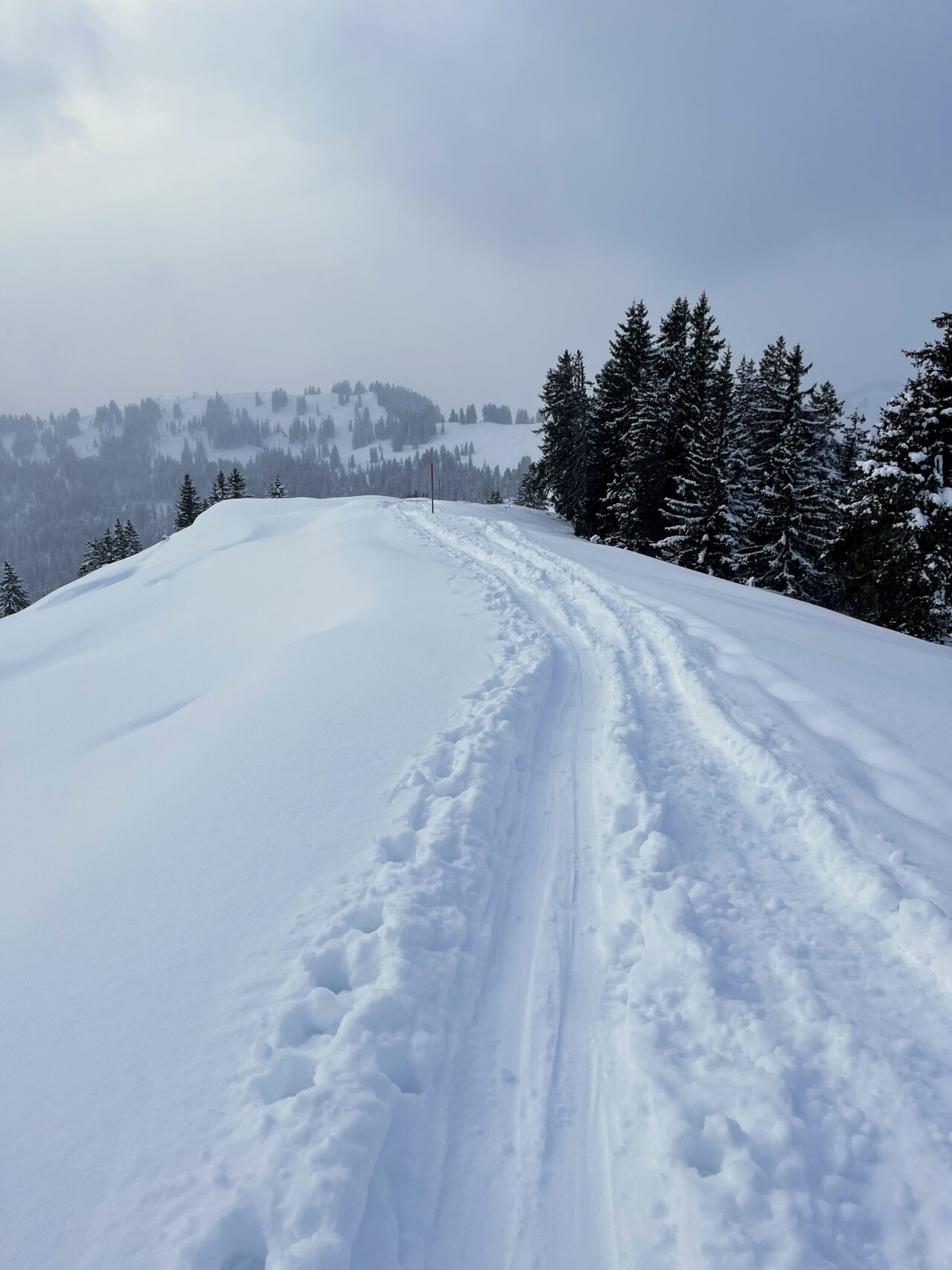 schneeschuhwanderung-furggelenstock-_IMG_9271