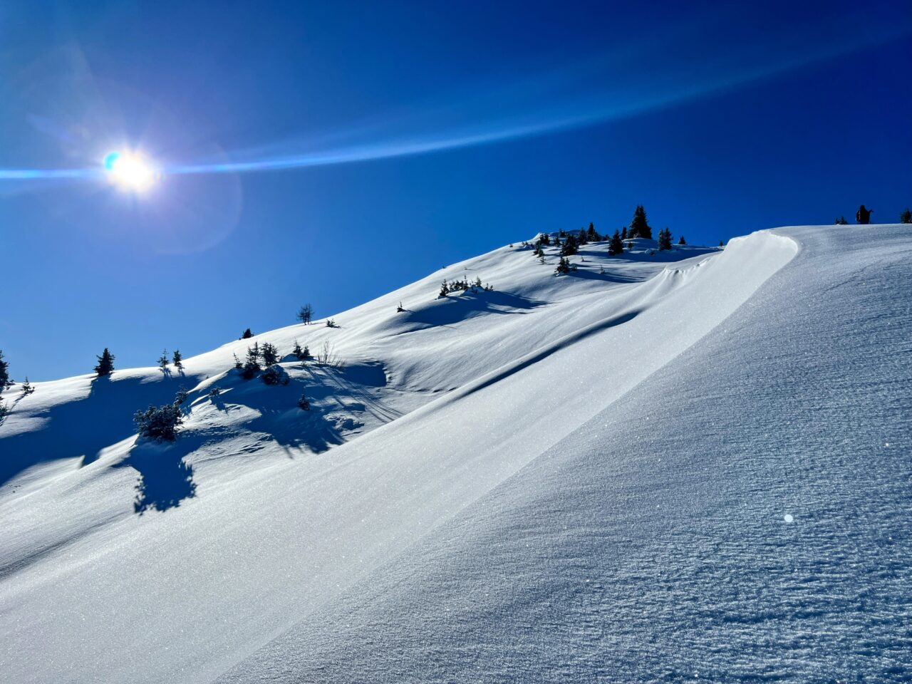schneeschuhtour_st_antönien_chrüz__IMG_3695