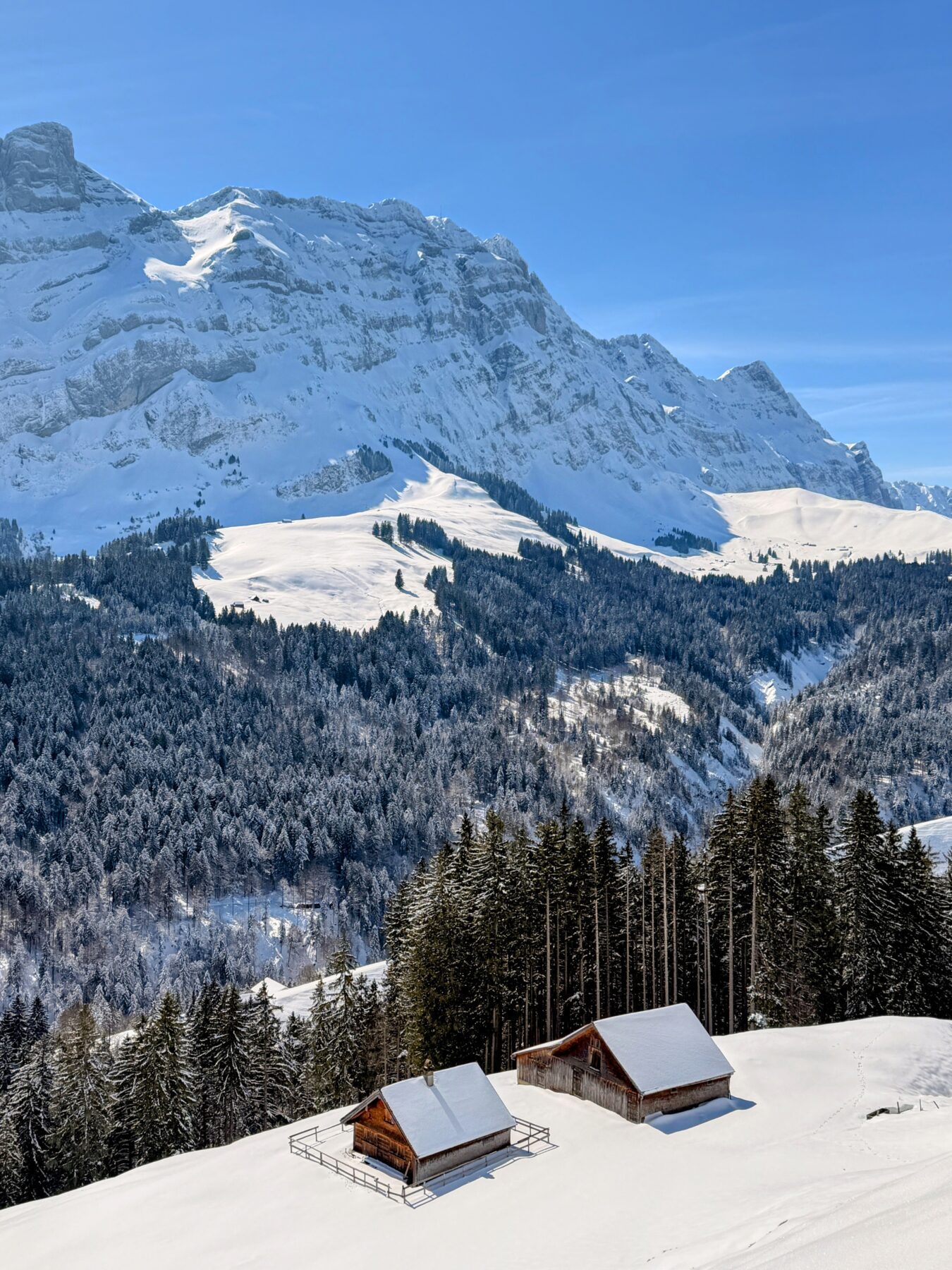 schneeschuhtour_lehmen_kronberg_chammhaldenhuette_schwaegalp__IMG_1338