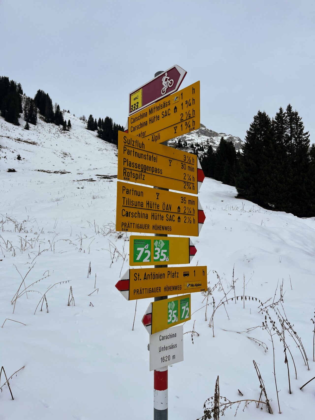 schneeschuhwandern-carschinahuette-_IMG_8051