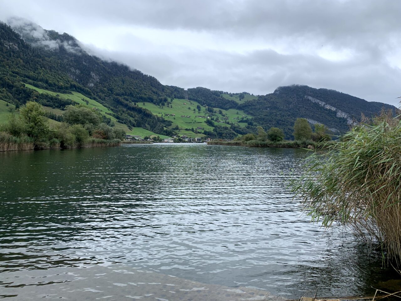 wanderung_vierwaldstaettersee_alpnachstad_ennetbuergen_
