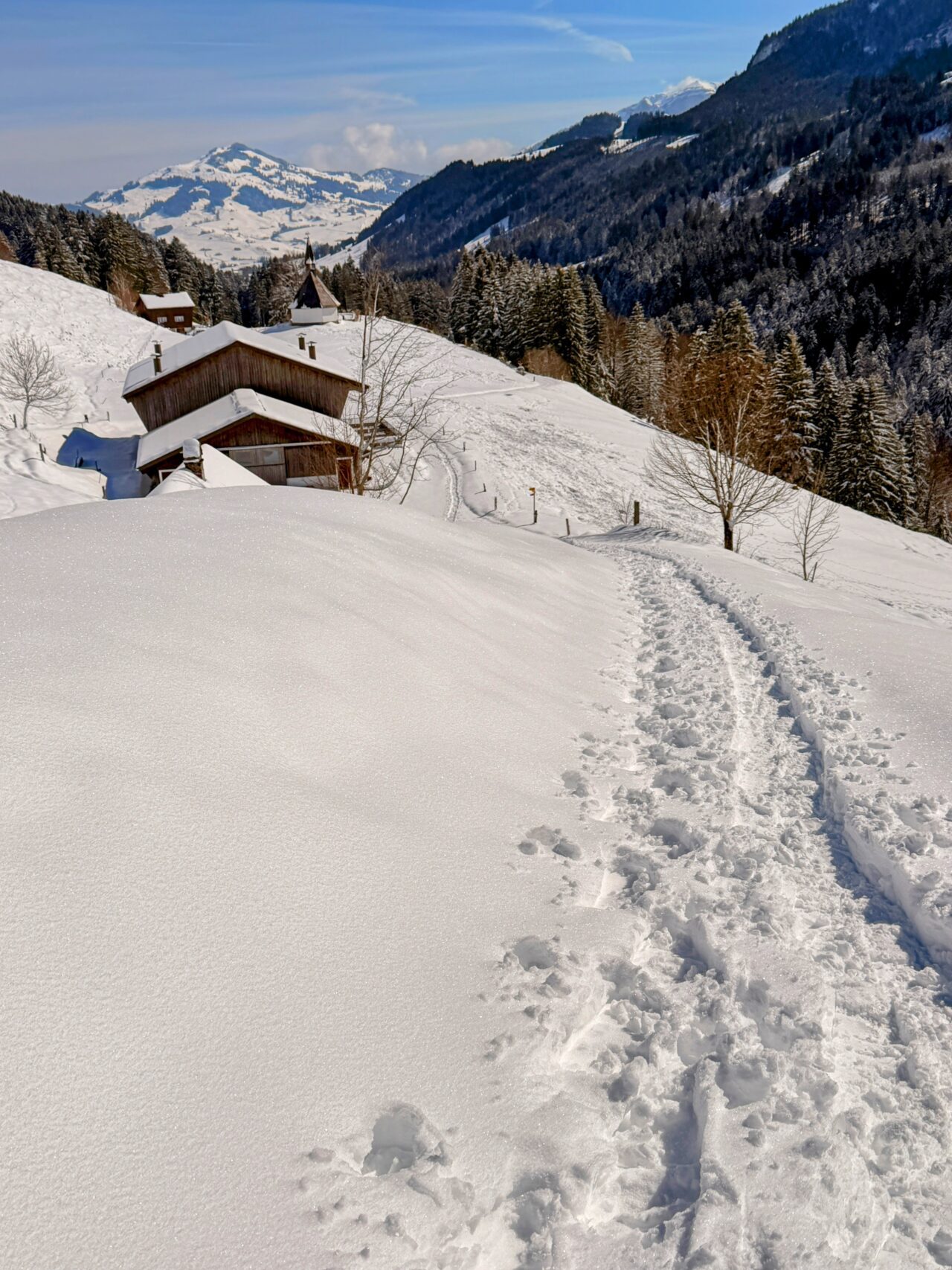 schneeschuhtour_lehmen_kronberg_chammhaldenhuette_schwaegalp__IMG_1323