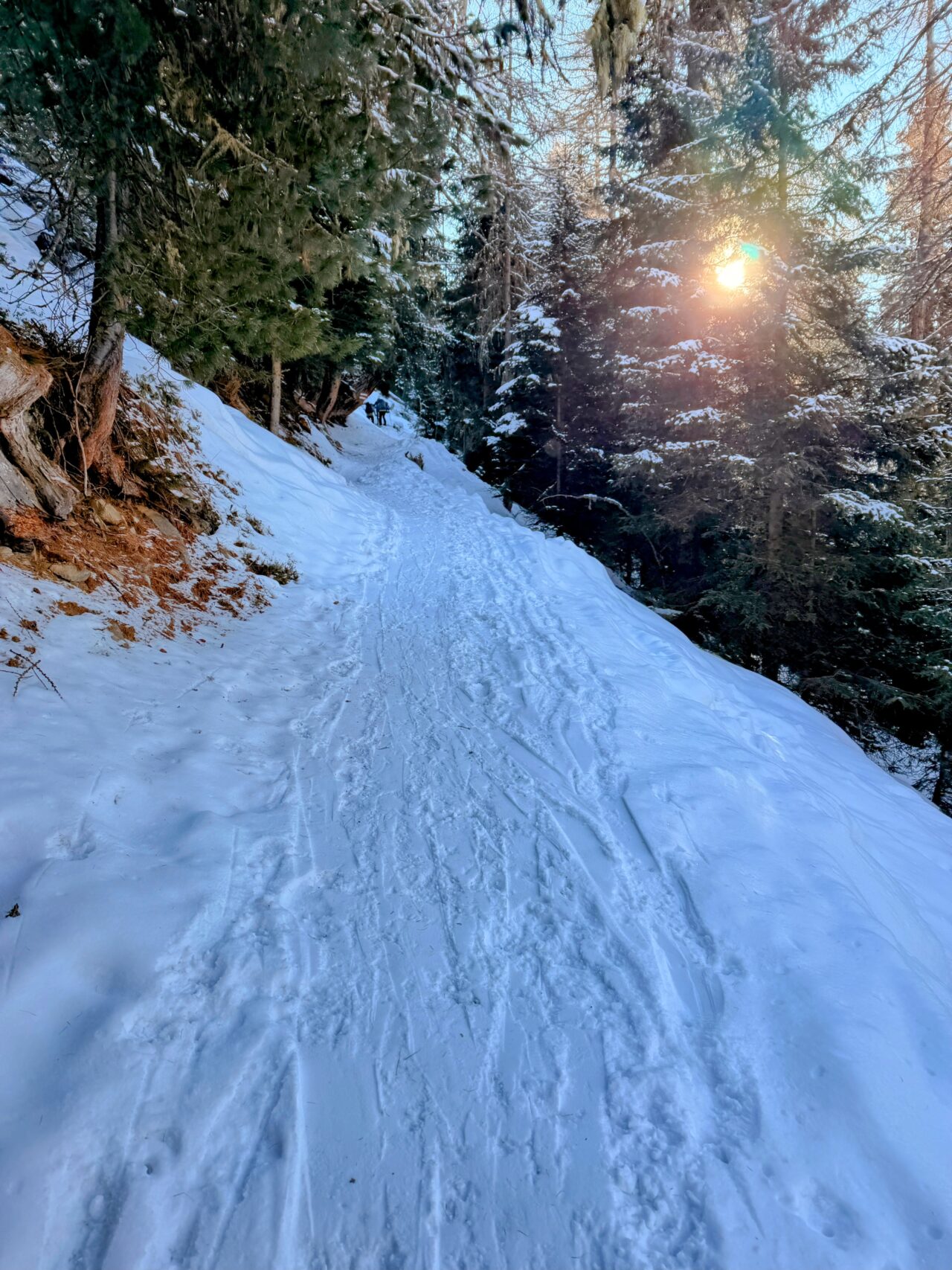 schneeschuhtour_pischa__IMG_9461