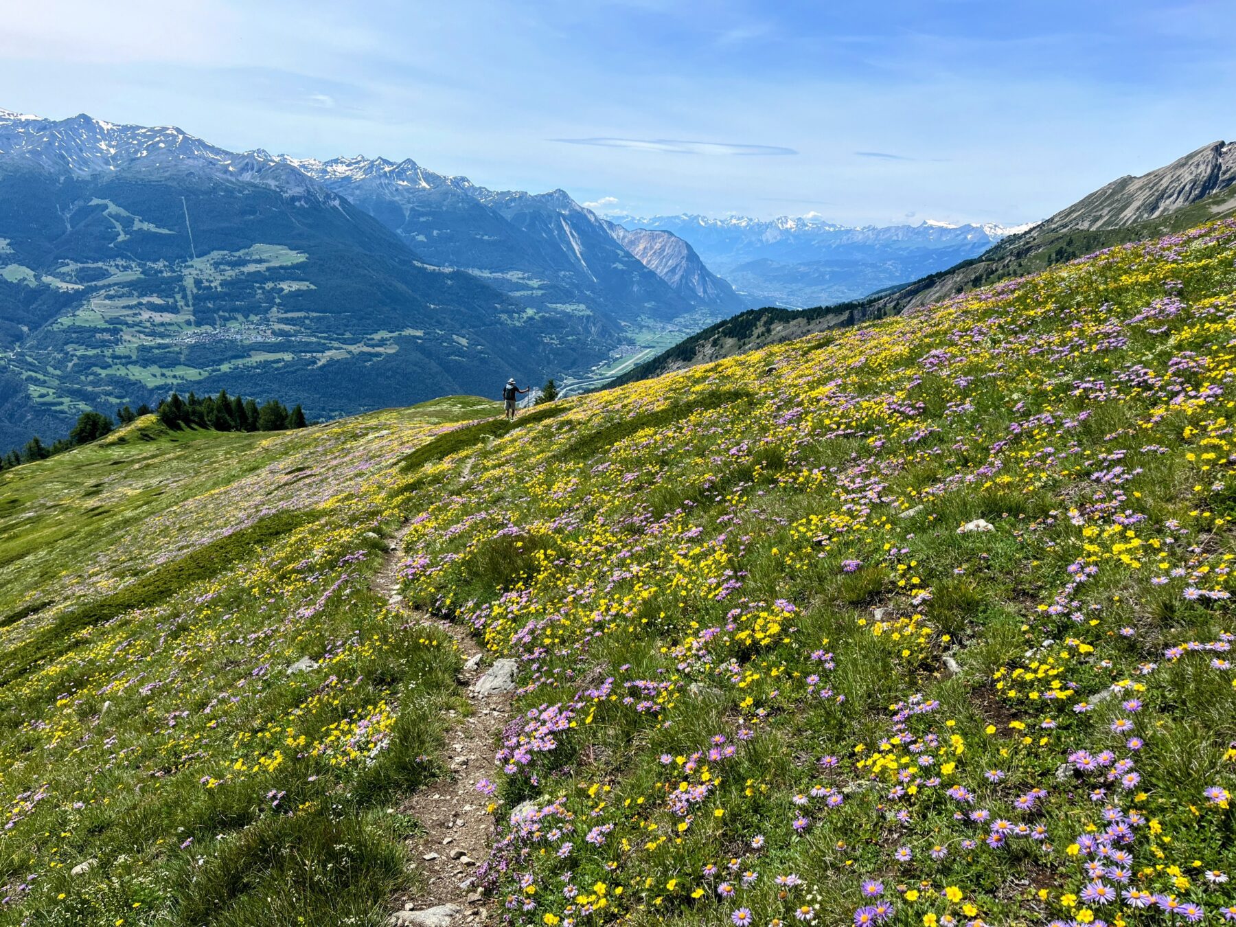 wanderung_wiwannihuette_