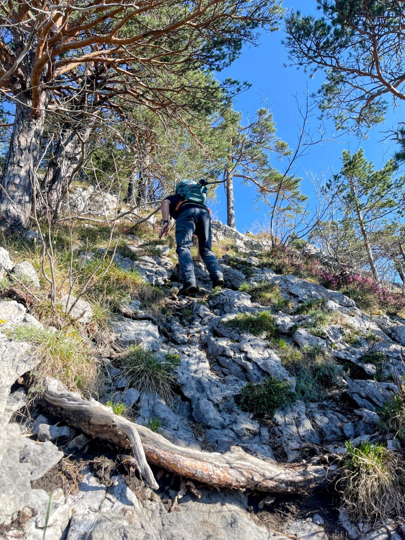 wanderung_urmiberg_stockflue_