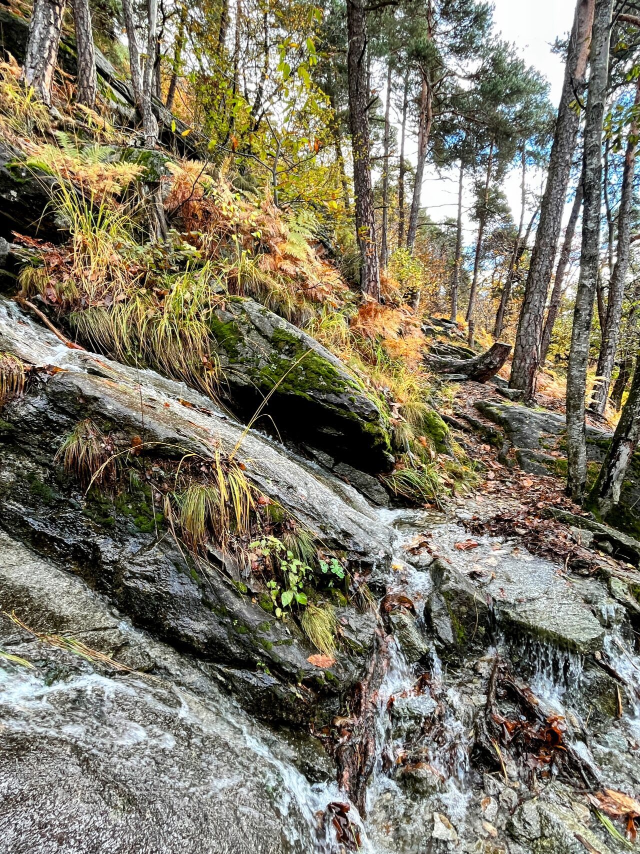 trans-swiss-trail-etappe-26-27-faido-biasca-
