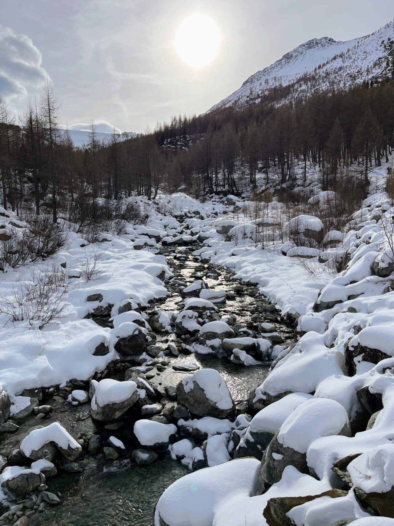 schneeschuhwanderung-mattmark-_IMG_9014