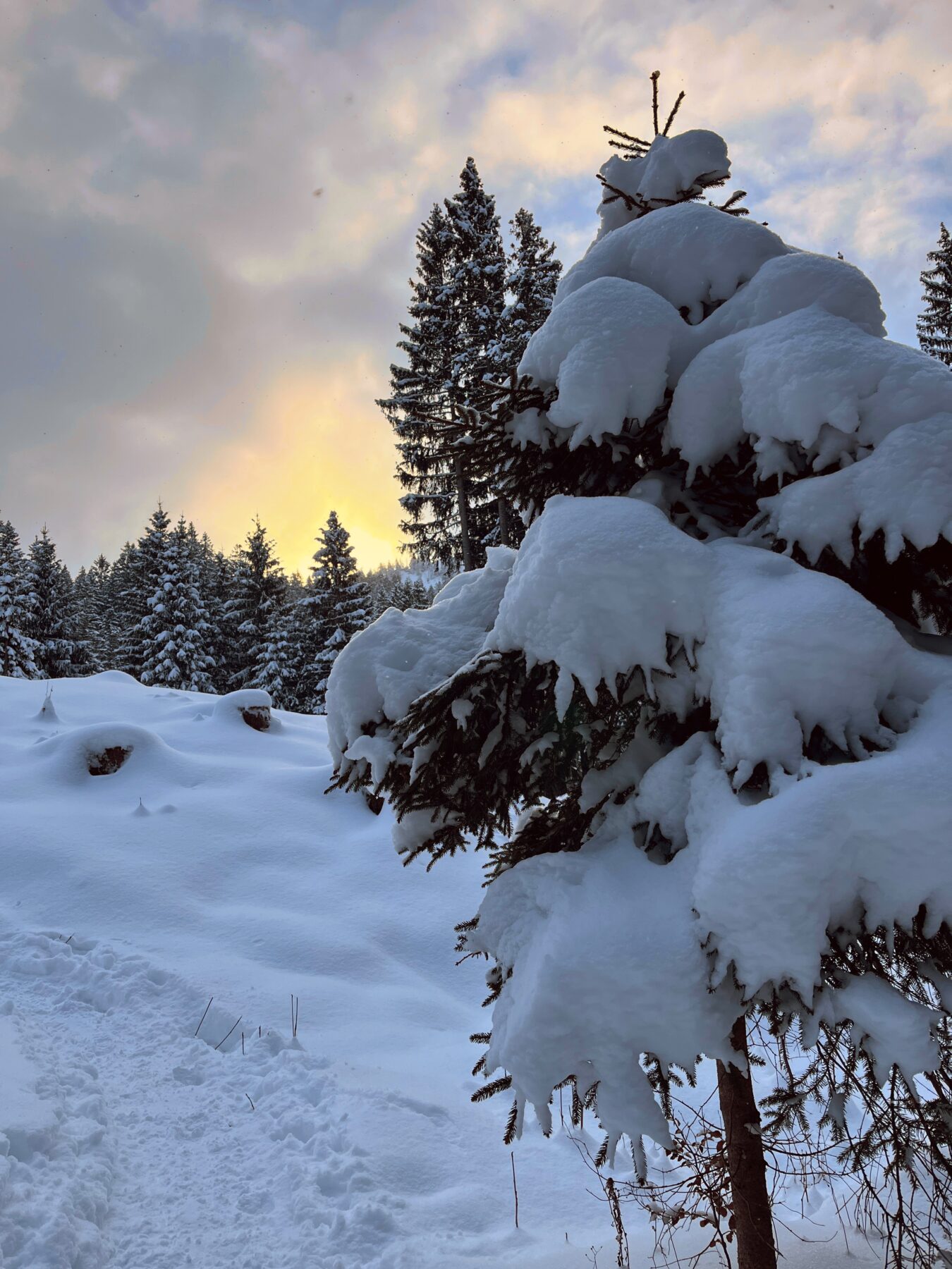 schneeschuhwanderung-furggelenstock-_IMG_9249 (Kopie)