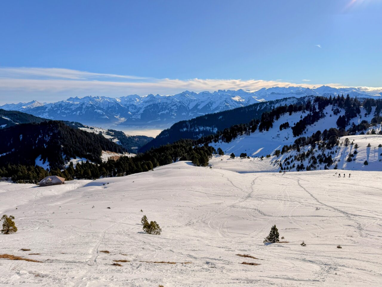 schneeschuhwanderung_rickhubel_fürstein__IMG_9341