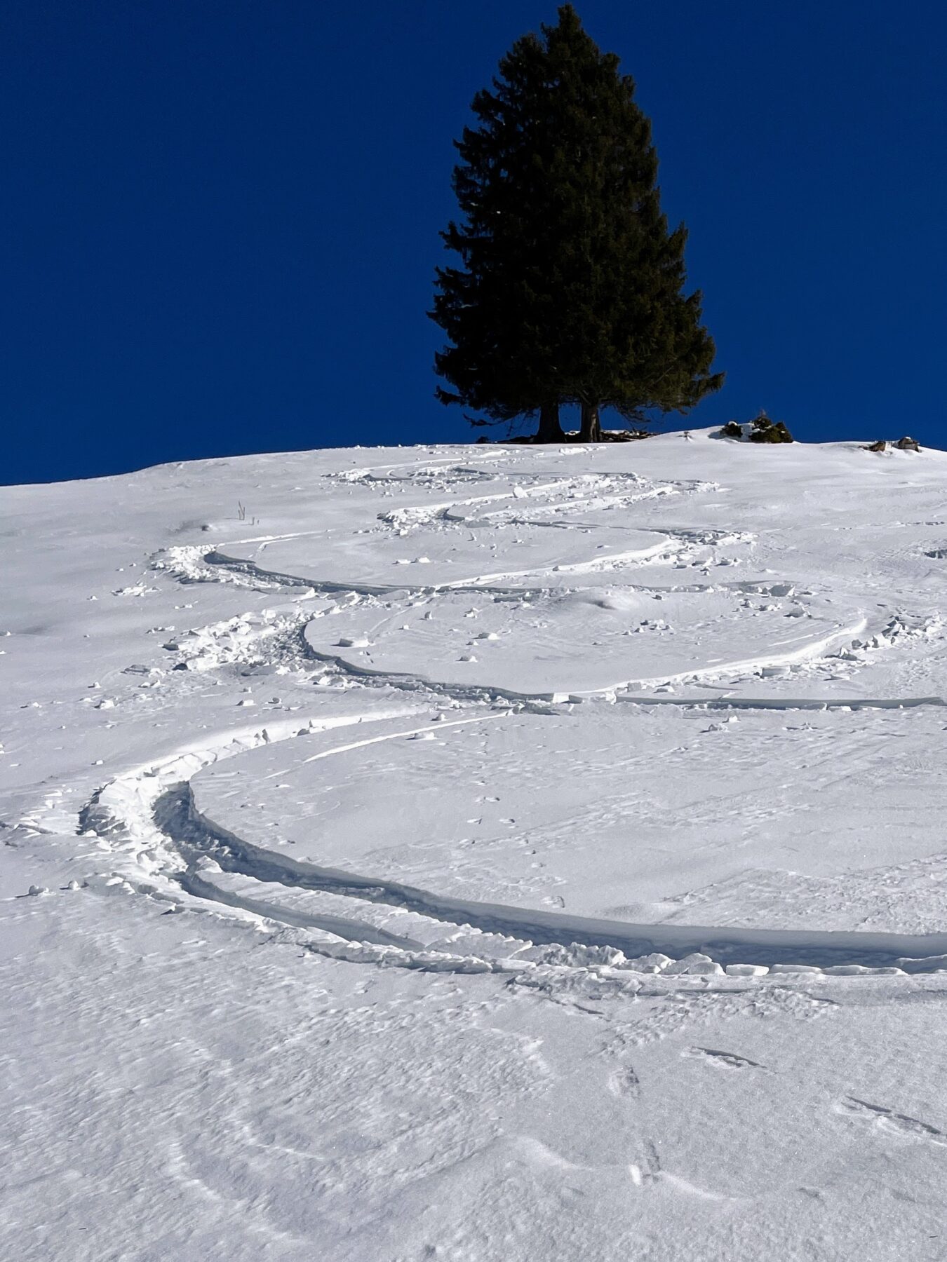wanderung_druesberghütte__IMG_1320