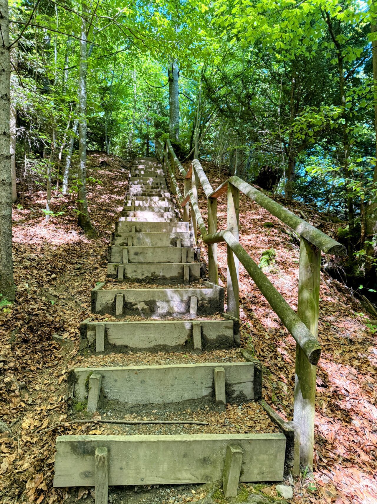 wanderung_lorzentobel_
