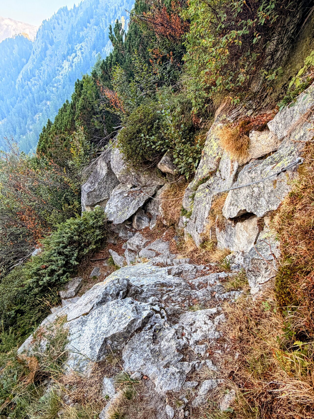 wanderung_sentiero_alpino_bregaglia_sciorahuette_sasc_furae_huette__IMG_0430