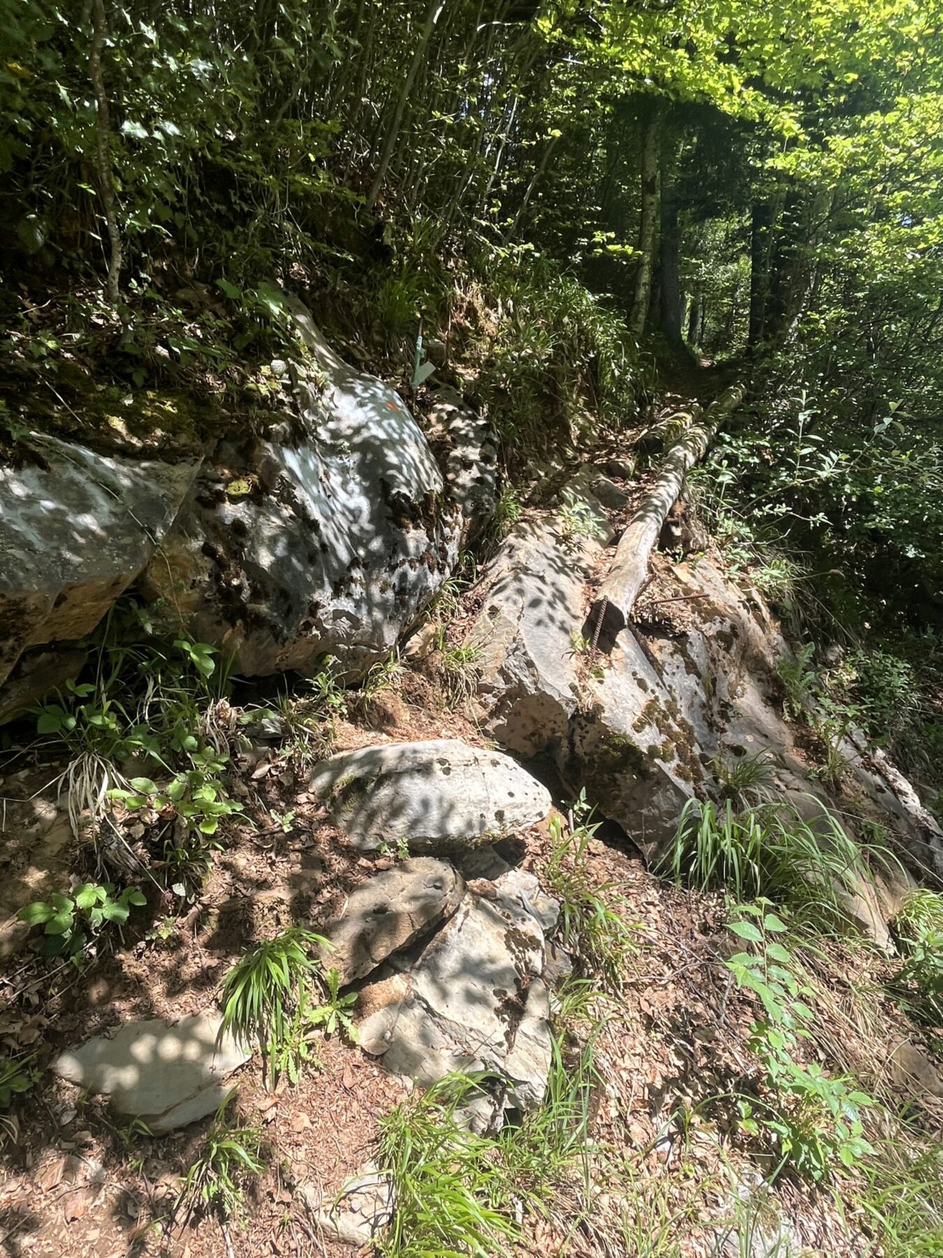 wanderung_brunnen_urmiberg_schwand_stockflue_