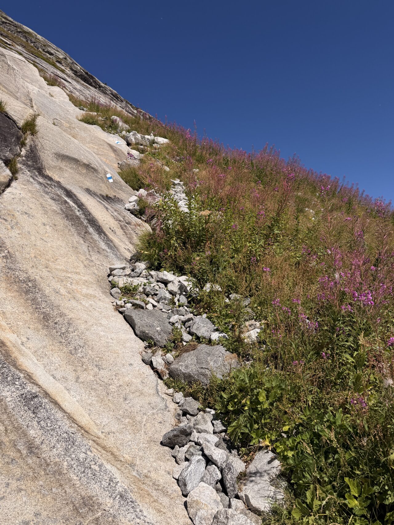 wanderung_sentiero_alpino_bregaglia_albignahuette_sciorahuette__IMG_0346