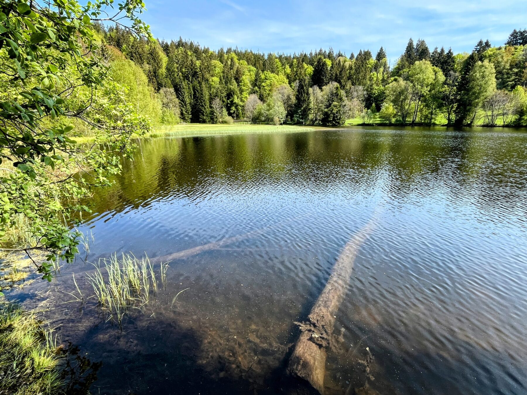 wanderung_schluchtensteig_schwarzwald_
