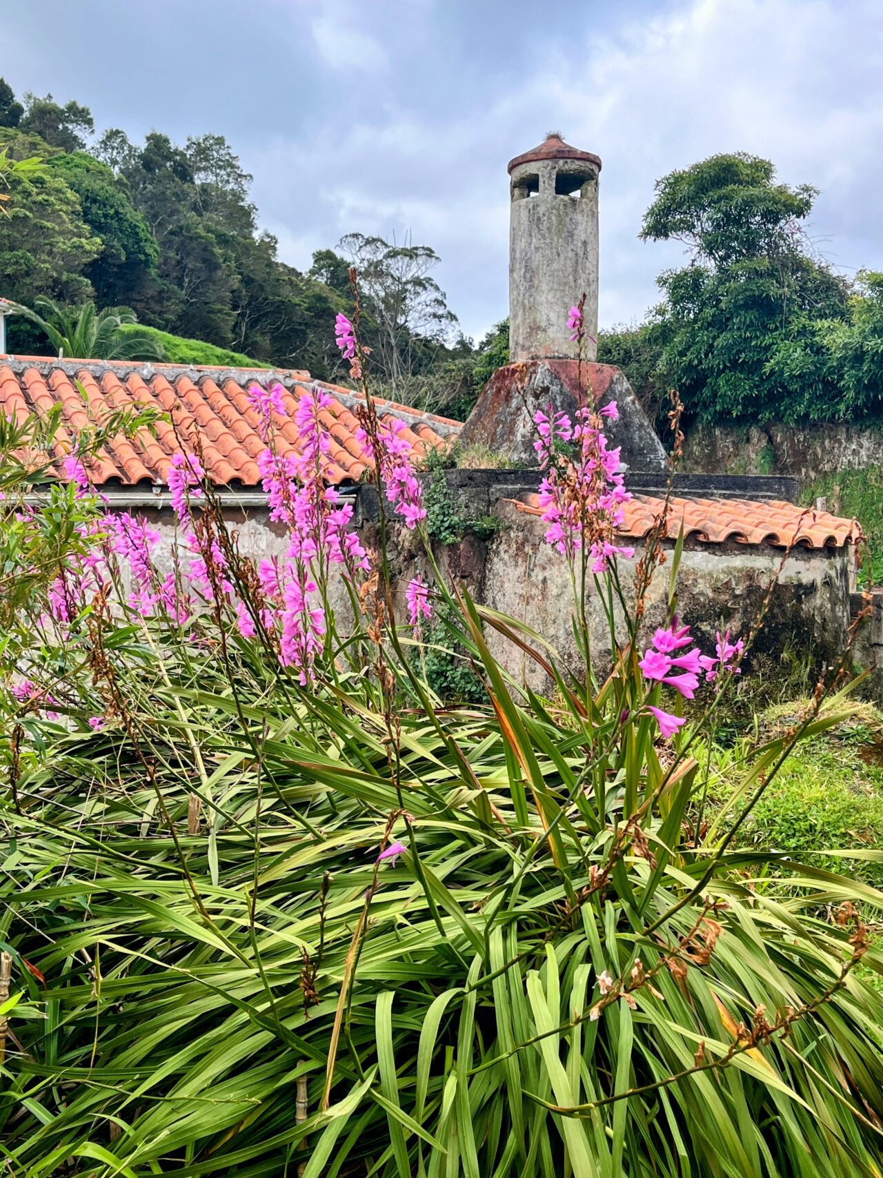 wanderung_ilha_a_pe_tag_4_norte_baia_do_raposo_