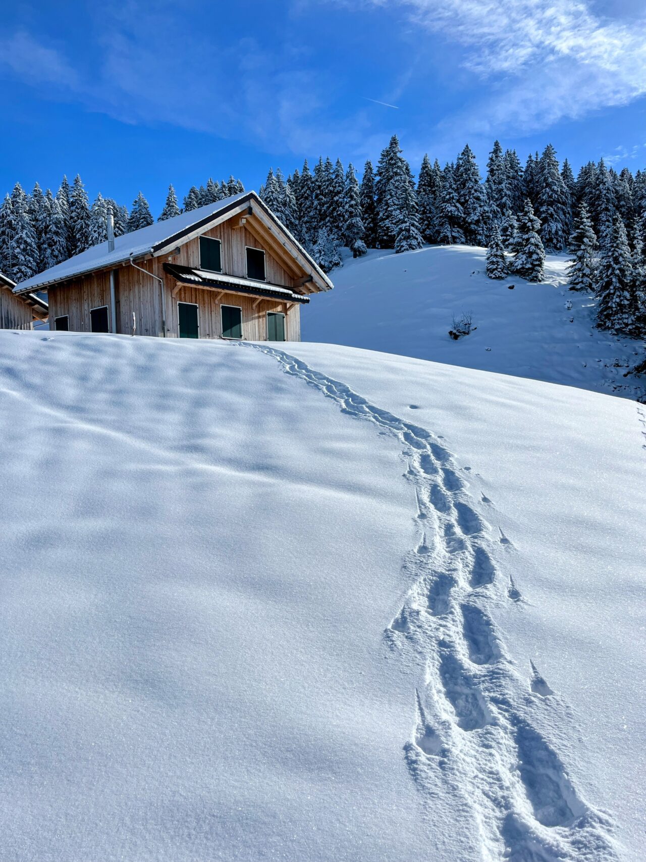 schneeschuhtour_laucherenstoeckli_ibergeregg_brunni__IMG_5794