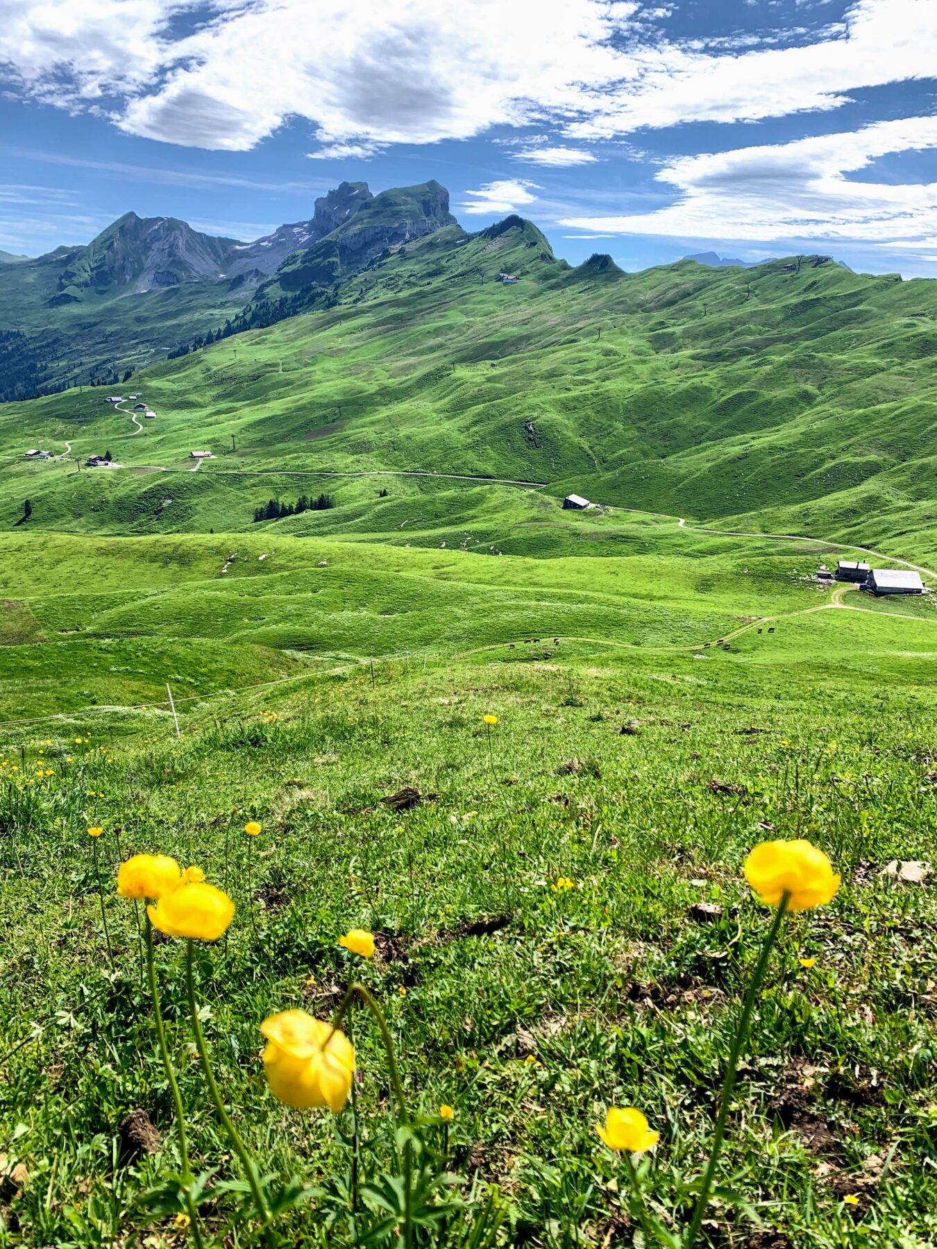 wanderung_7_egg_hoch_ybrig_