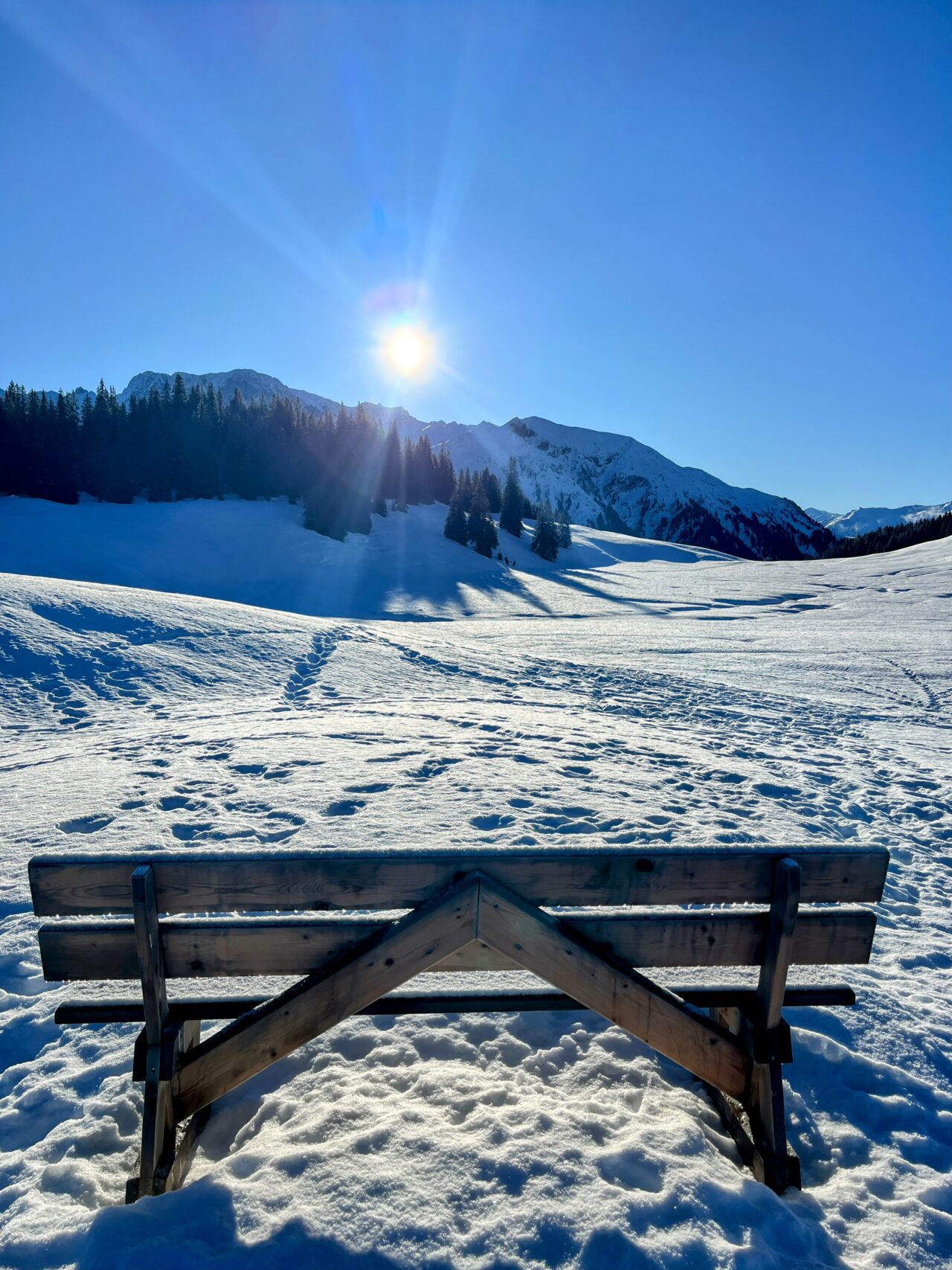 schneeschuhtour_st_antönien_chrüz__IMG_3654