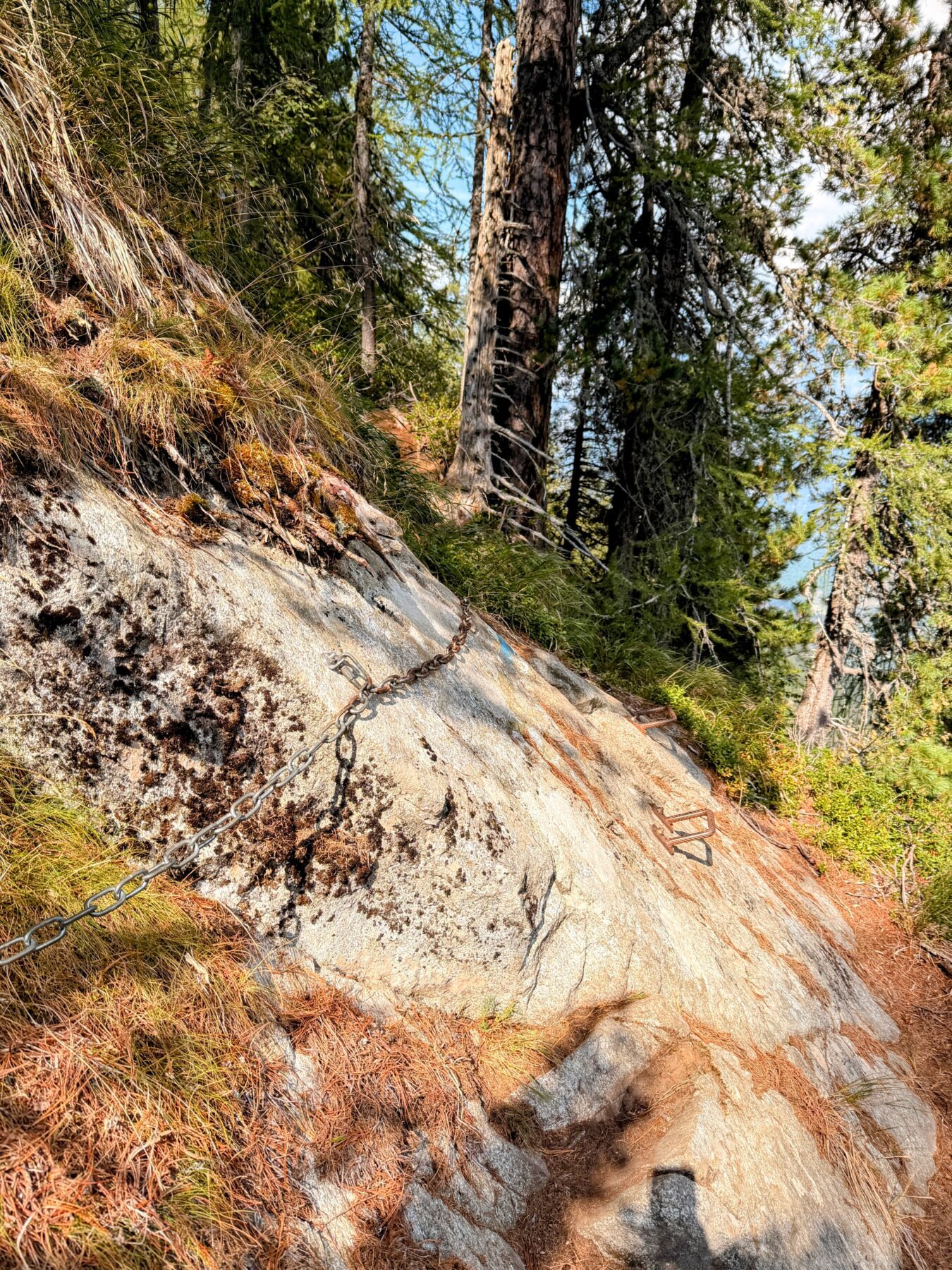 wanderung_sentiero_alpino_bregaglia_sasc_furae_huette_bondo__IMG_0579
